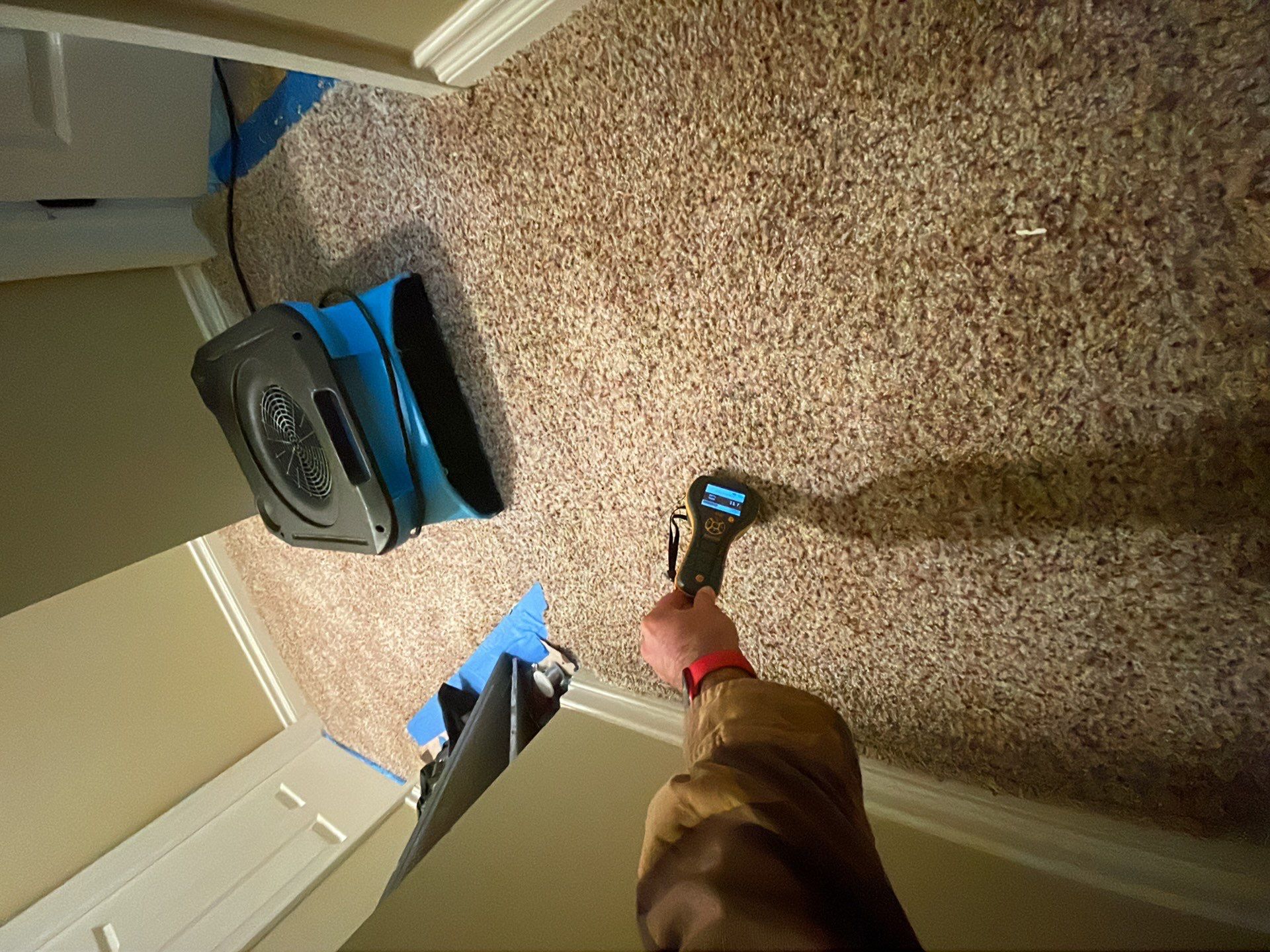 Project in Novi by EzDry Water Mitigation & Property Restoration