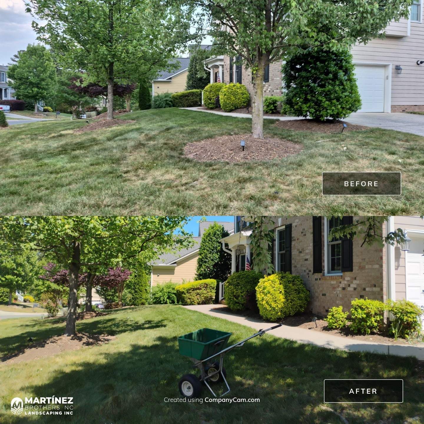 Fixing brown spots in grass in Durham by Martinez Brother’s Nc Landscaping Inc