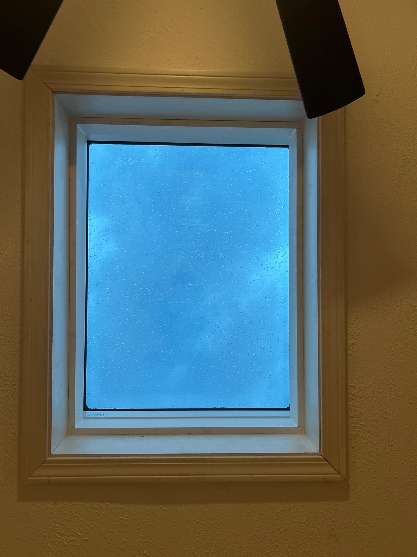 Flat Roofing & Skylights | Westford by Mighty Dog Roofing of Greater Middlesex County