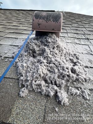 Air Duct and Dryer Vent Cleaning in Orlando