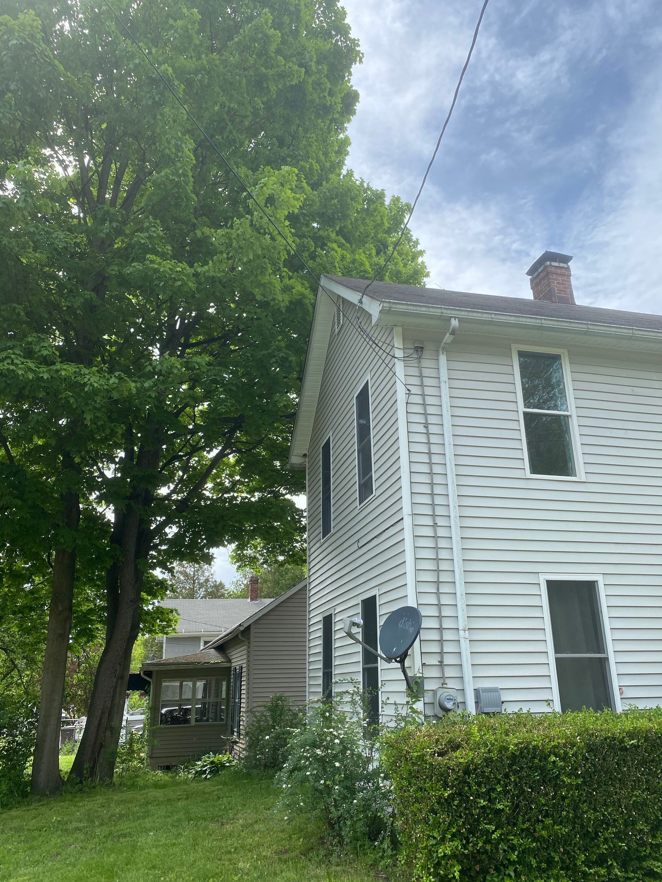 Tree Trimming using Tree Pruing by Mike Jones & Sons Tree Service LLC 