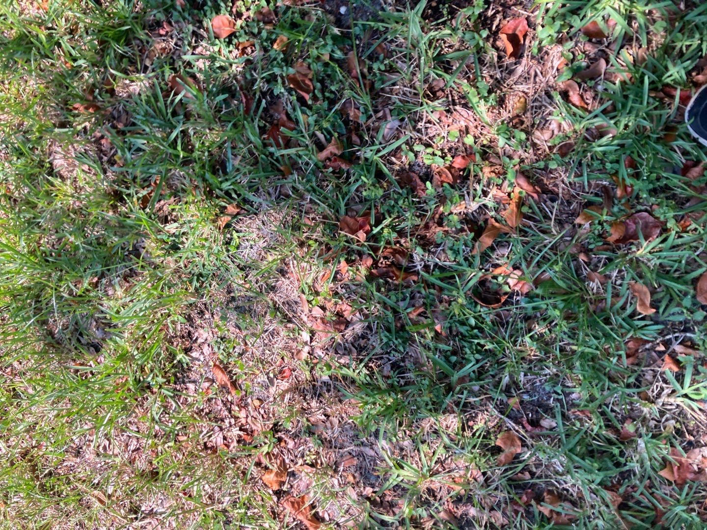 Residential Roofing Installation using 1" Nail strip metal roof by BLUES BROTHERS CONSTRUCTION CORP
