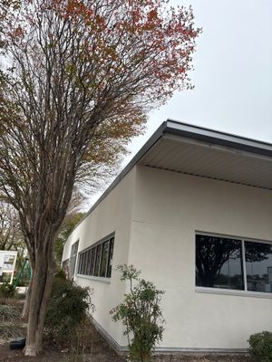 Side view of building with metal roofline