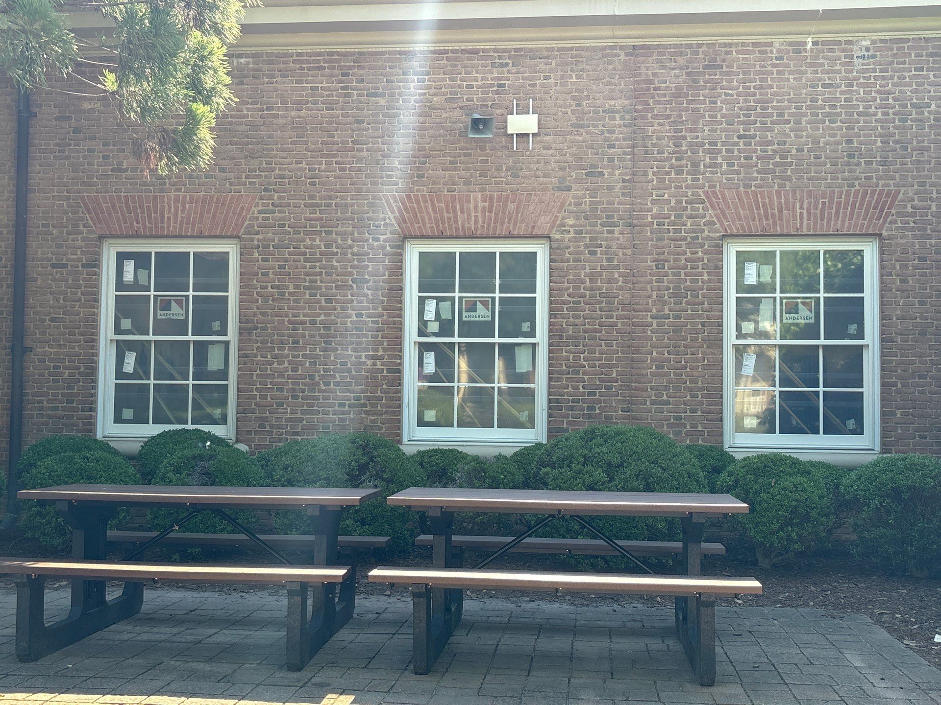 Cary Academy by Window Works