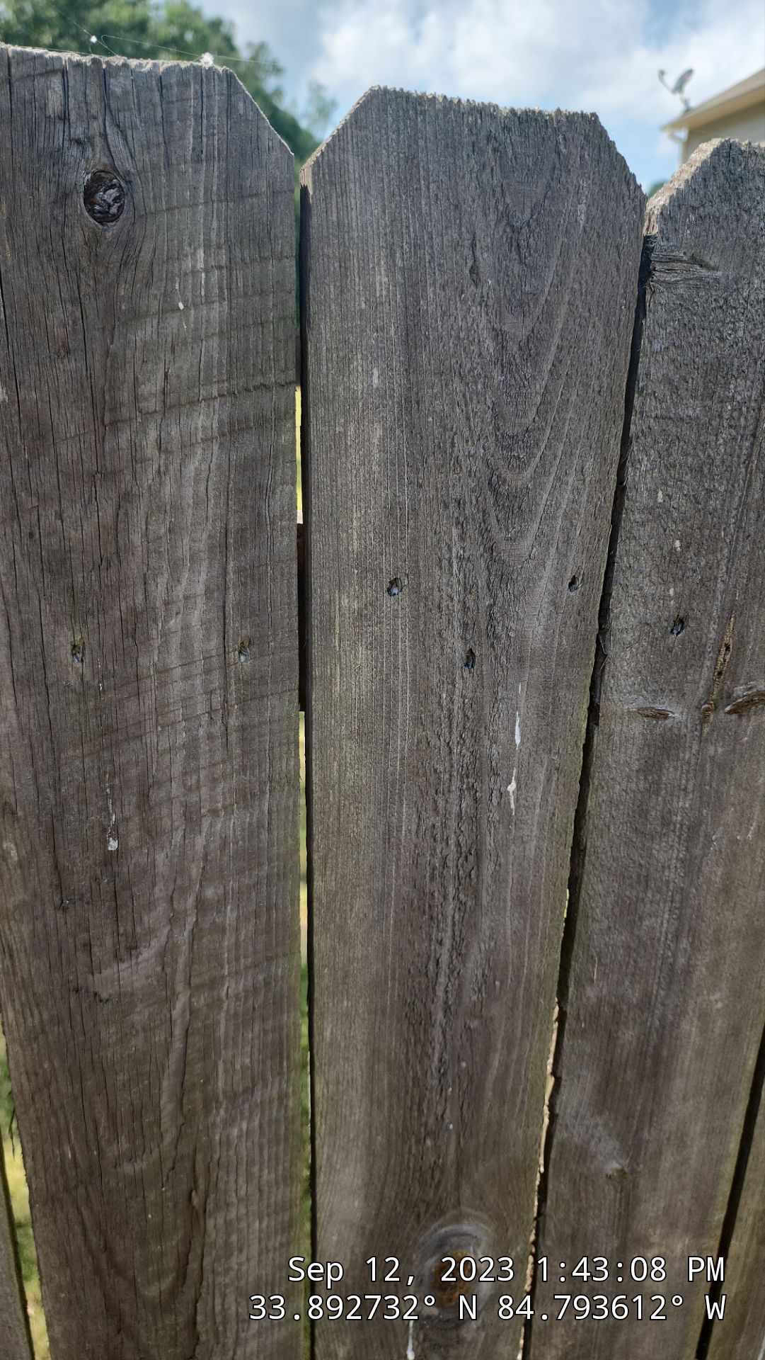 Fence Restoration using Chocolate by SSE by Titans of Timber Fence & Stain