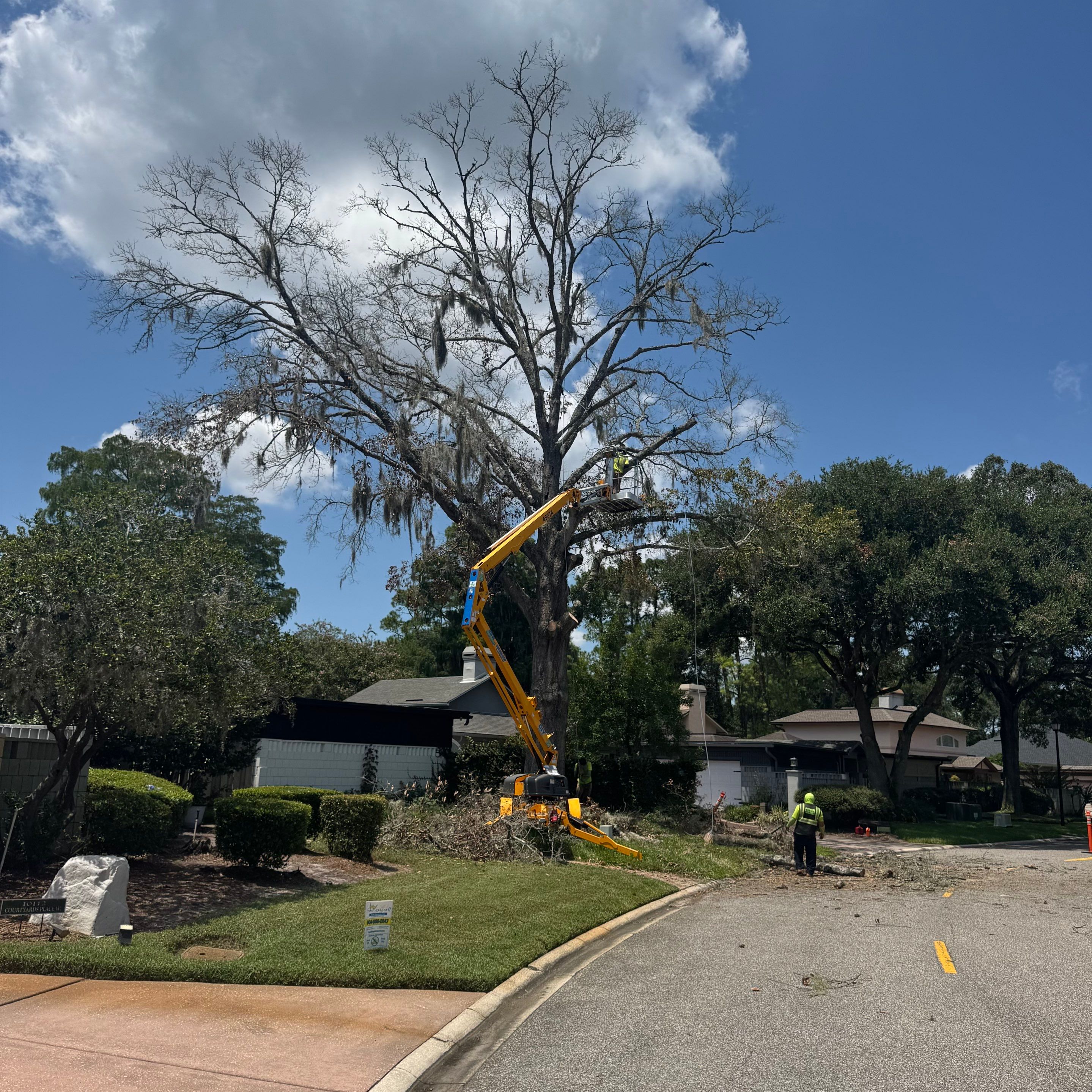 Deerwood Resident | Tree Removal by ProGreen Services