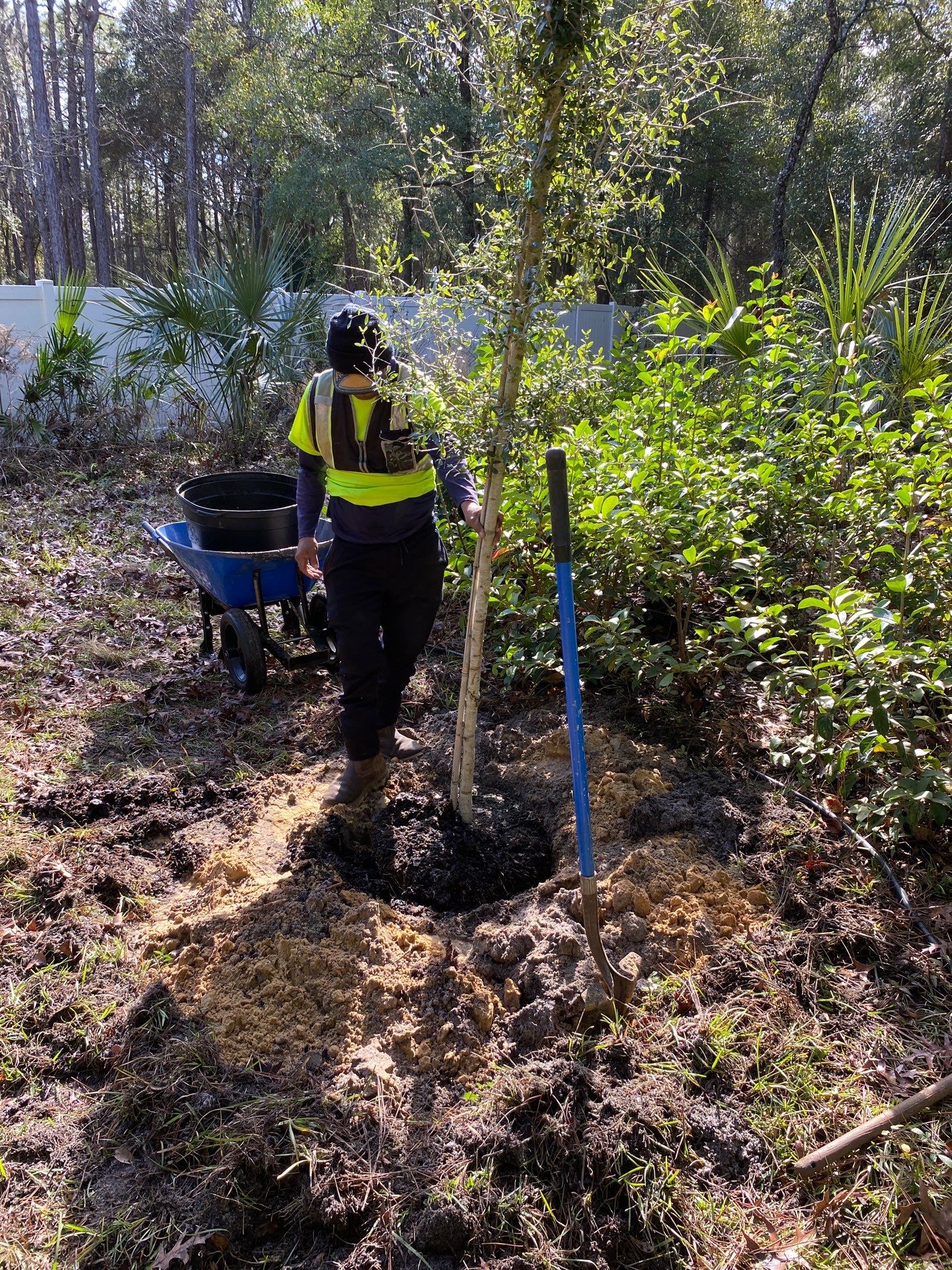 Deerwood Resident | Tree Installation by ProGreen Services