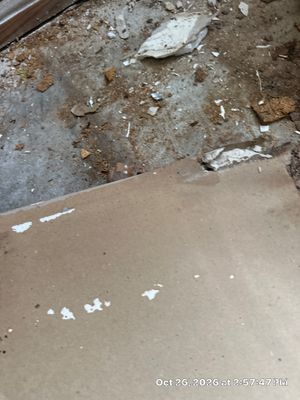 Commercial Water Damage — Naples, FL