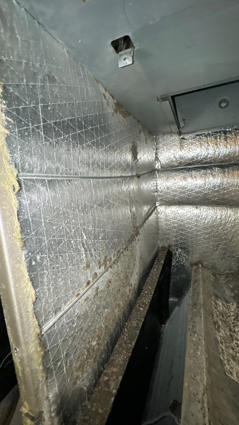 Air Duct Cleaning in Tavares by Hygienic Air, Inc