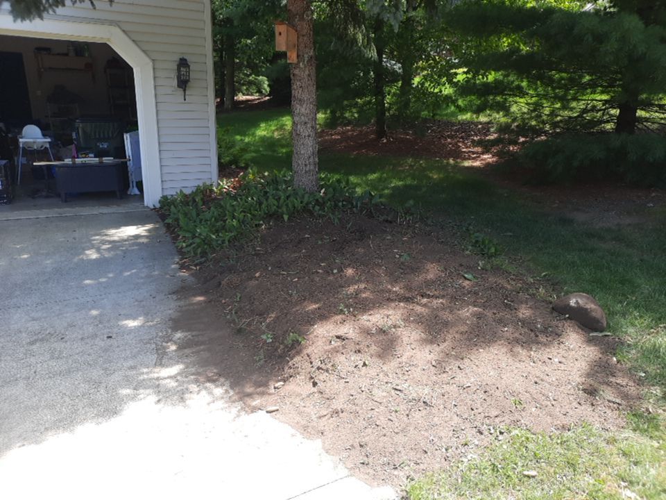 Tree Removal using Tree Removal by Mike Jones & Sons Tree Service LLC 