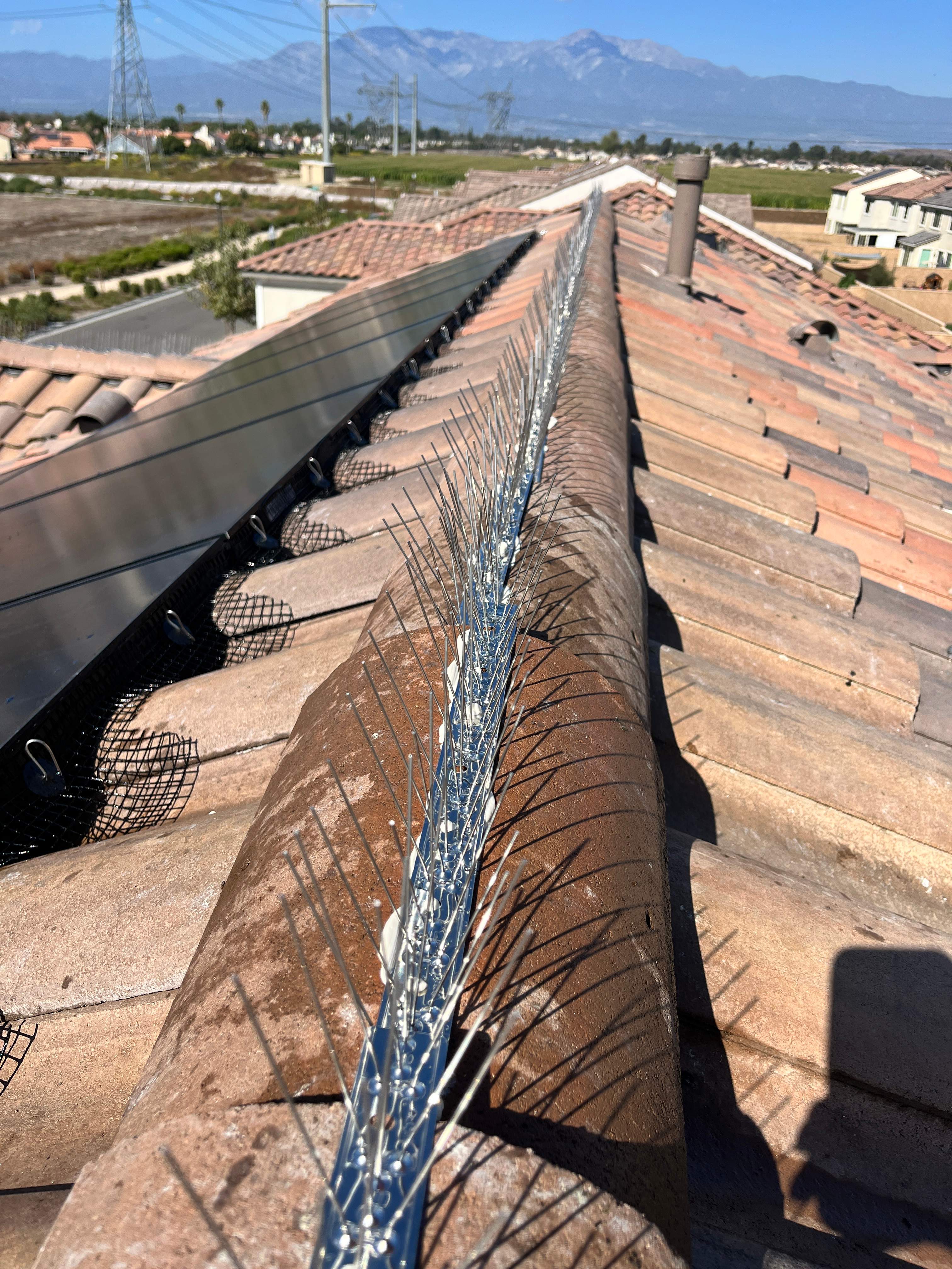 Bird Proofing Solar Panels in Ontario Ca by Palm Coast Solar Cleaning