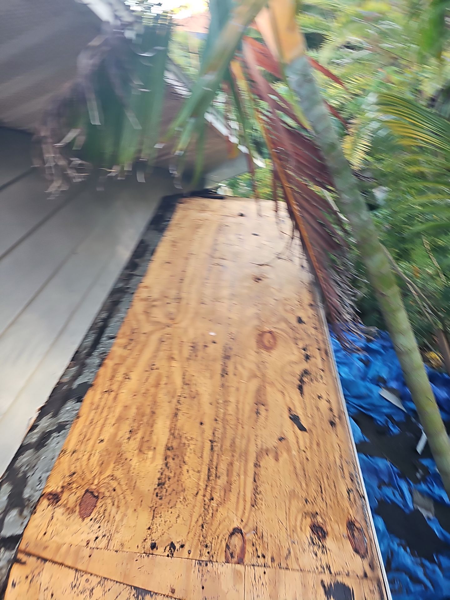 Project in Port Richey 34668 by Mitchell Roofing Company LLC 
