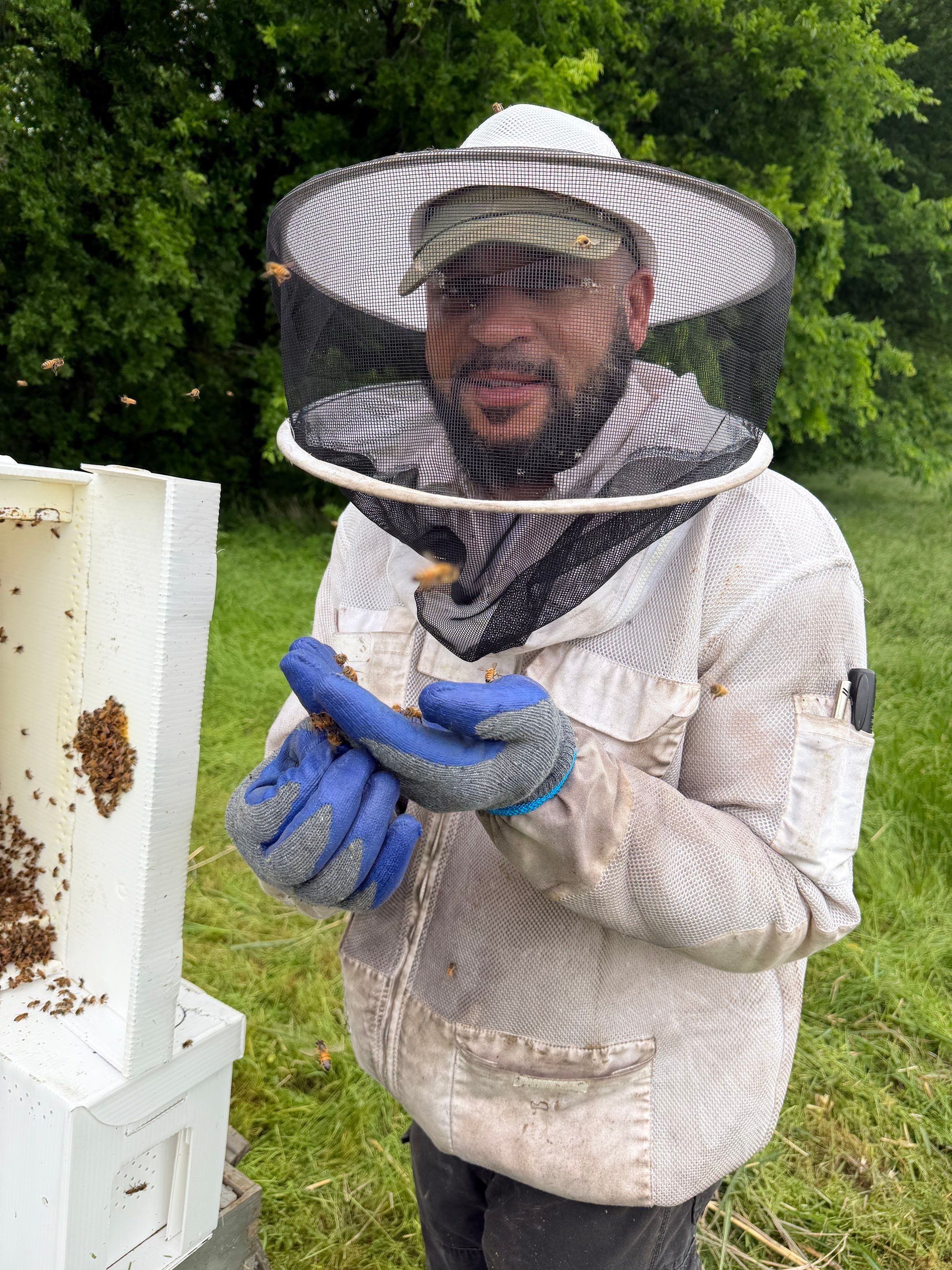 Special Use Valuation in McClendon-Chisolm by Rockwall Honey Bee Company