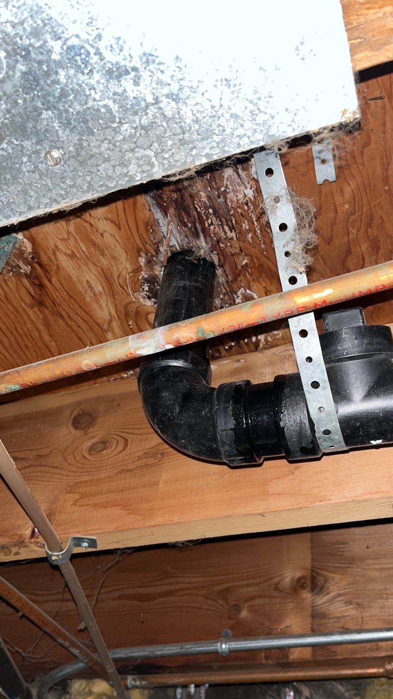 Mold Damage Project in Littleton by Accountable Home Services