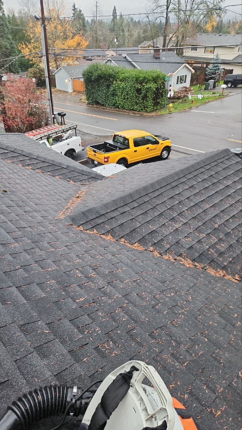 Driveway Repair using Pressure washing no chemicals by Willamette Outdoor Wash LLC
