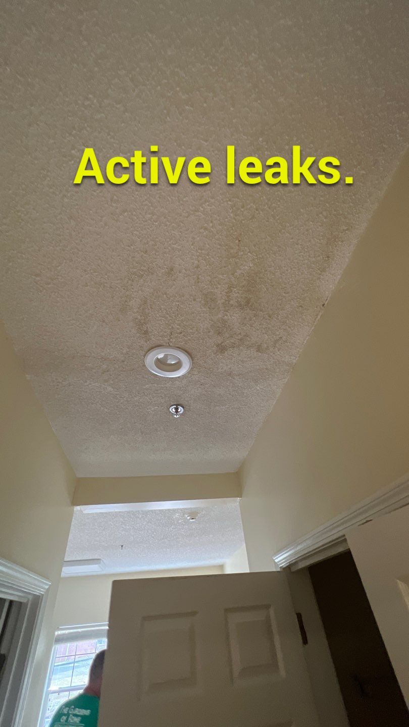 The Gardens of Rome by PC&D