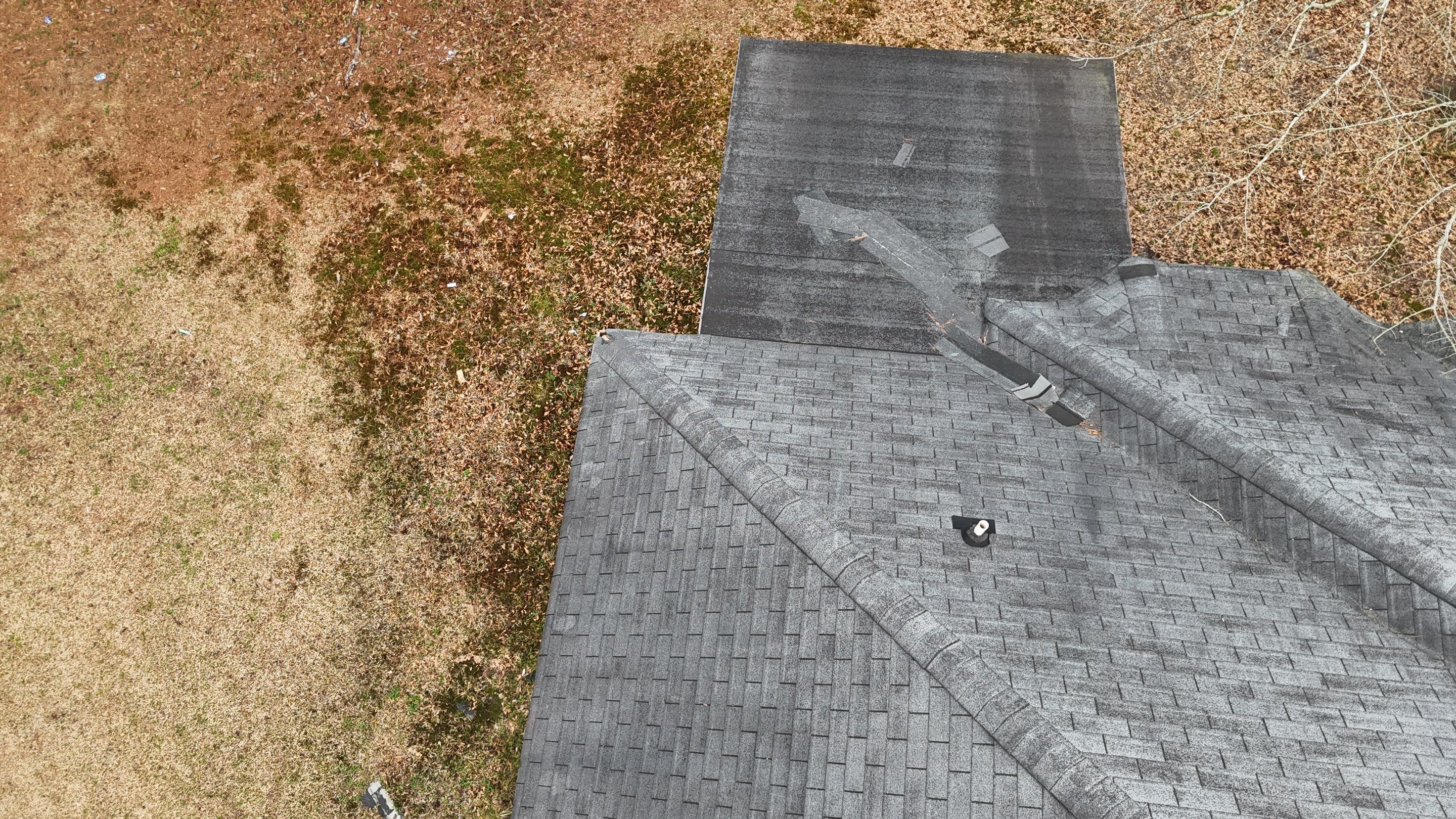 Rotten Wood by Roof Bullies
