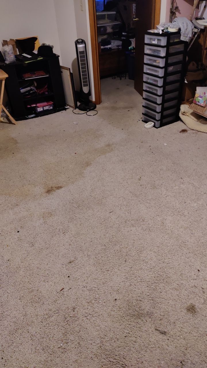 Water Damage  by Accountable Home Services