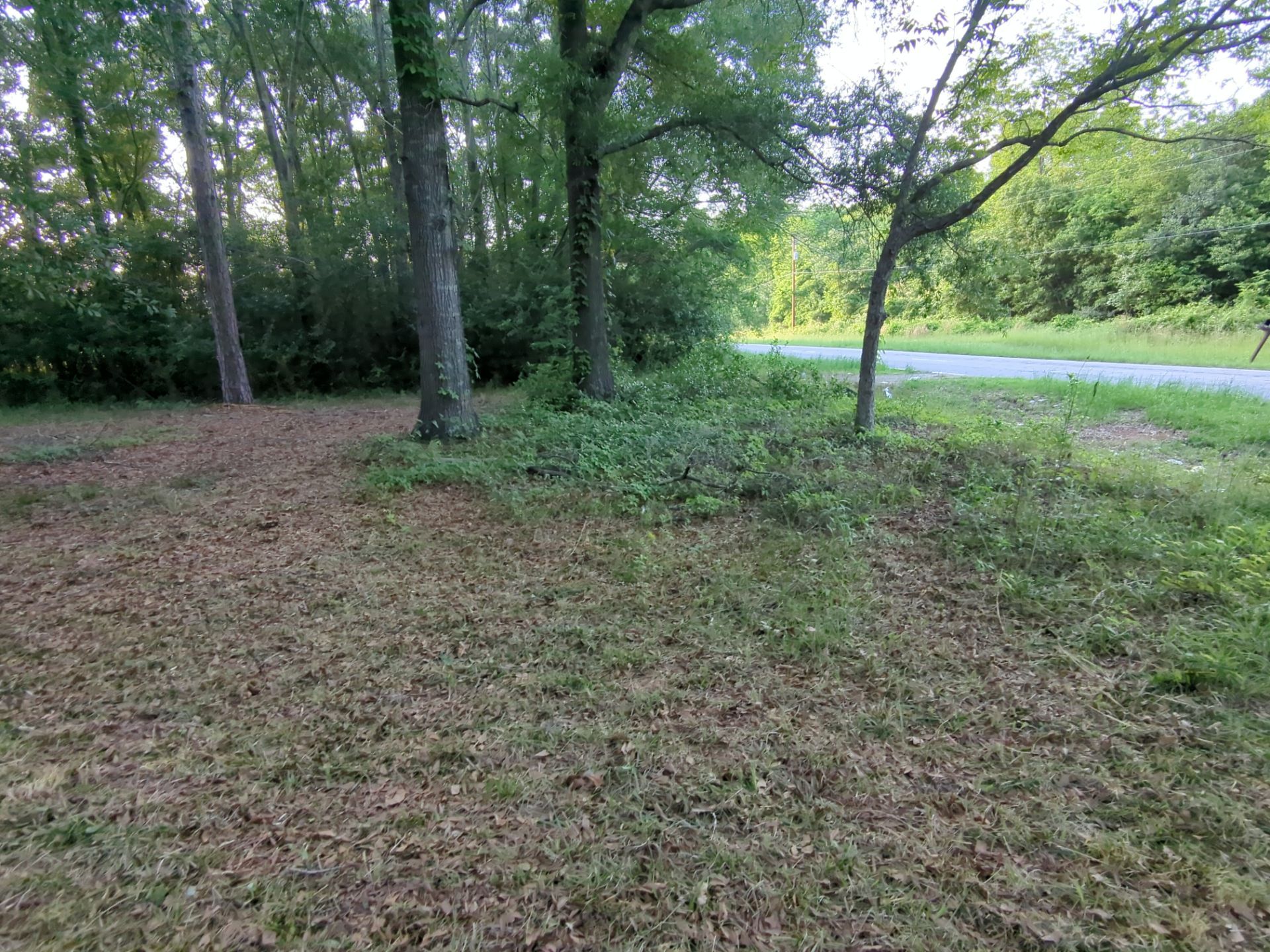 Exterior Clearing - tree trimming - grass cut by Swift Signings and Services LLC