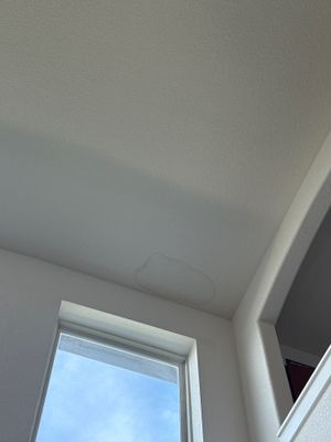 Project in Rosharon