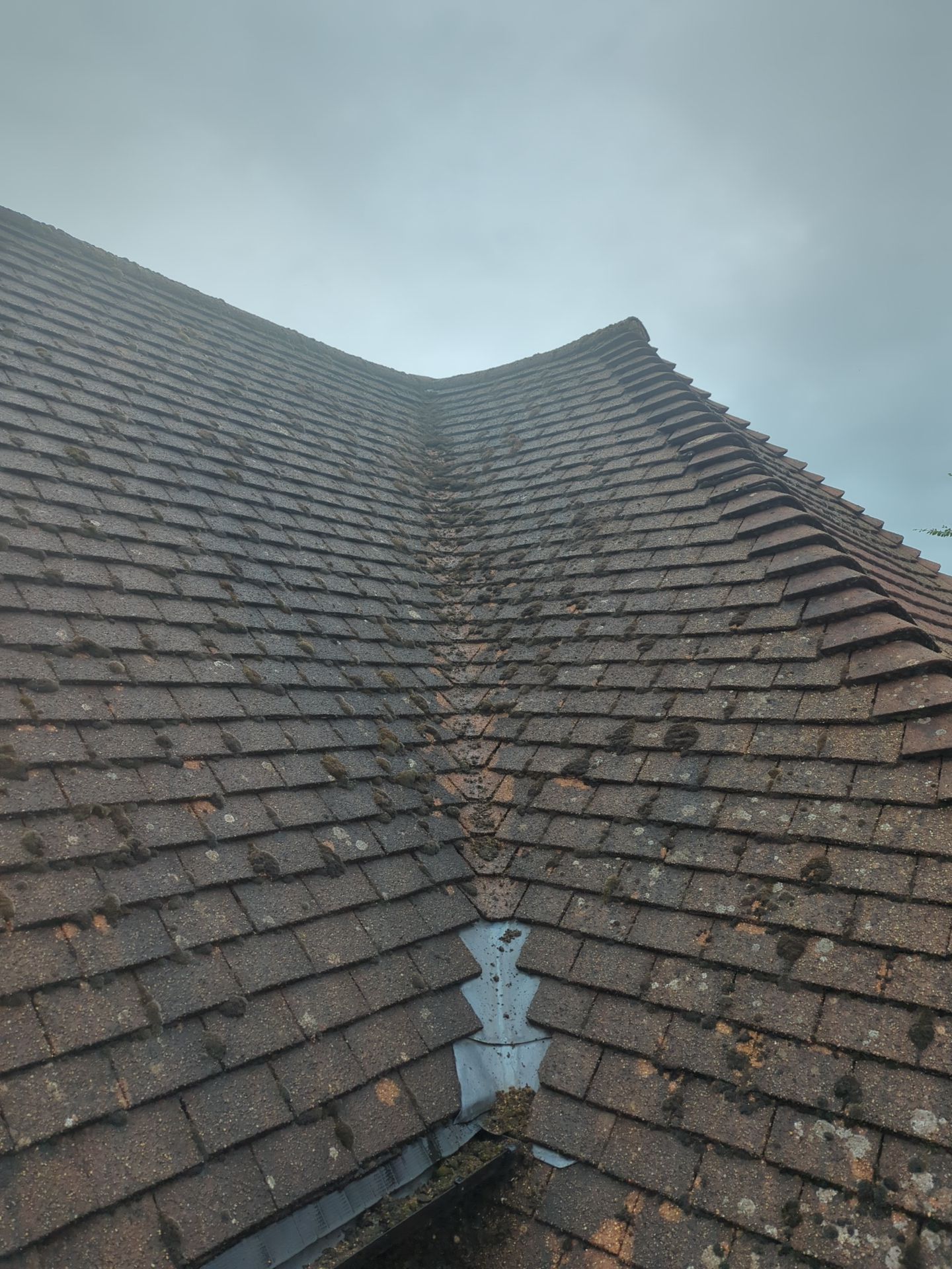 Roof Clean  - Moss Removal - Gutter Clean by Ges Exterior Cleaning ltd