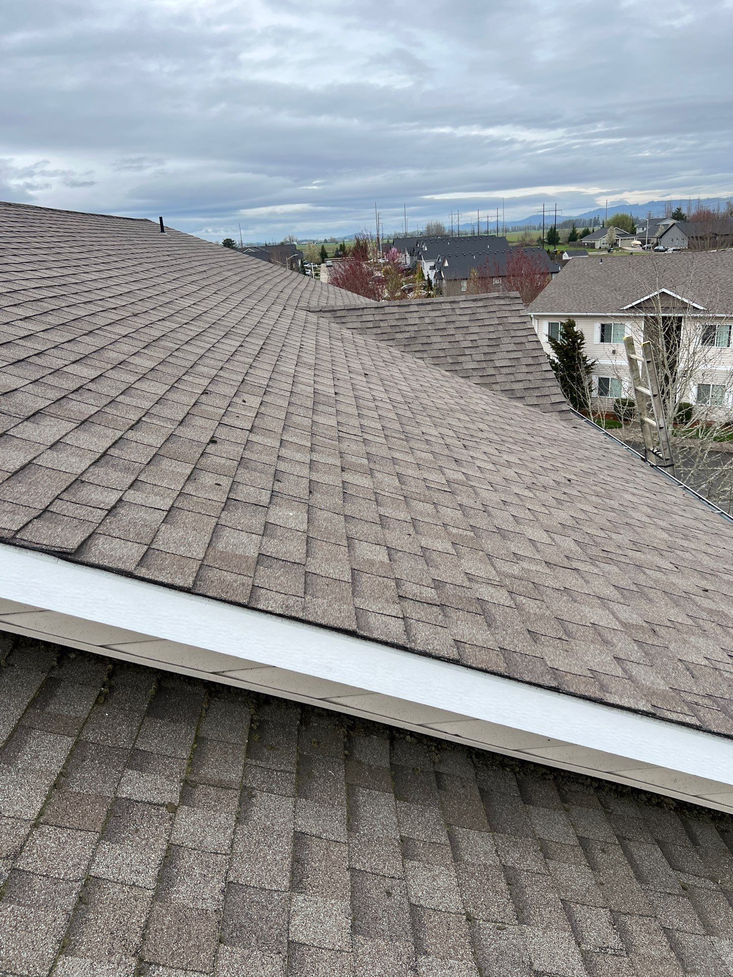 Project in Independence