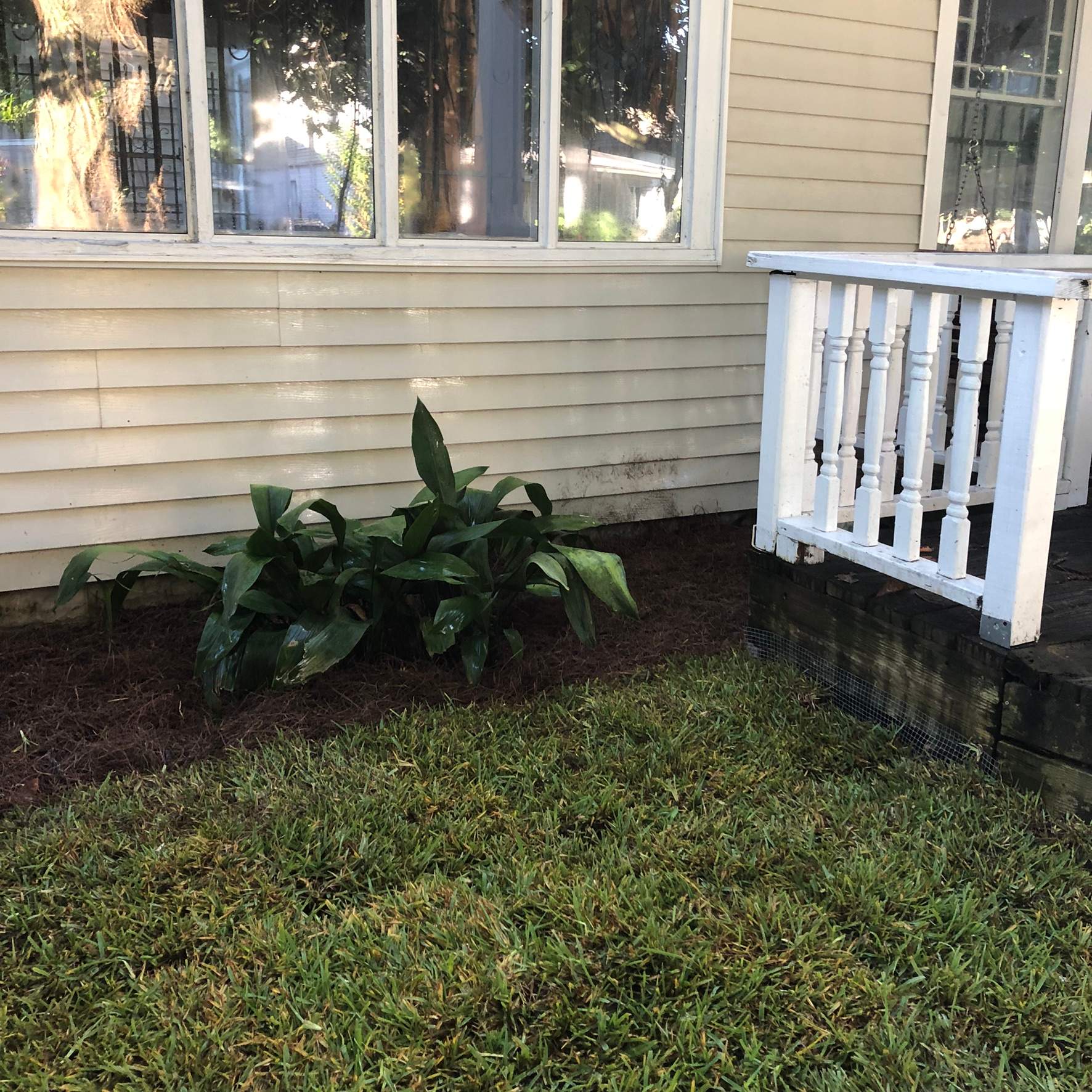 Extreme Clean Up - Landscape Install | Residential by ProGreen Services