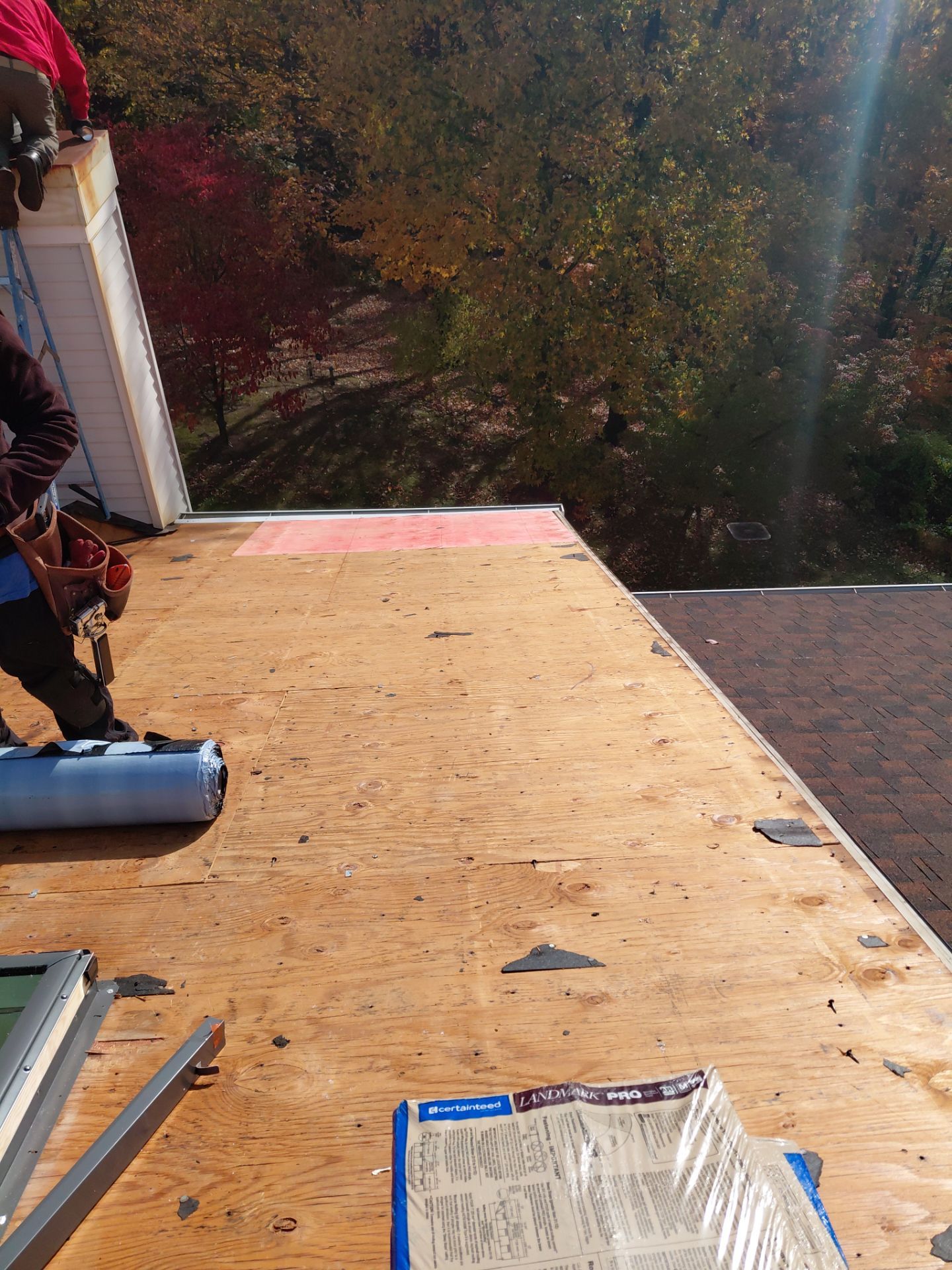 Alexandria : Residential Roof Replacement with CertainTeed Landmark Pro in Max Def Weathered Wood by RM Banning, Inc.