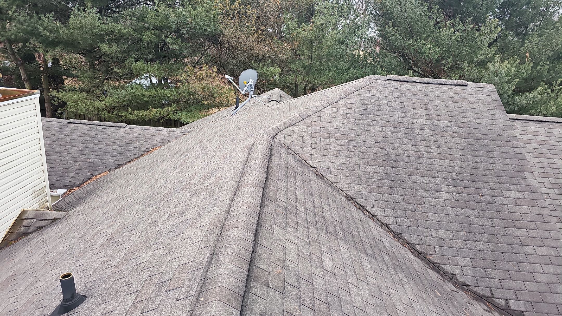 Alpha Rib, Color: Forest Green by Eagle Eye Roofing