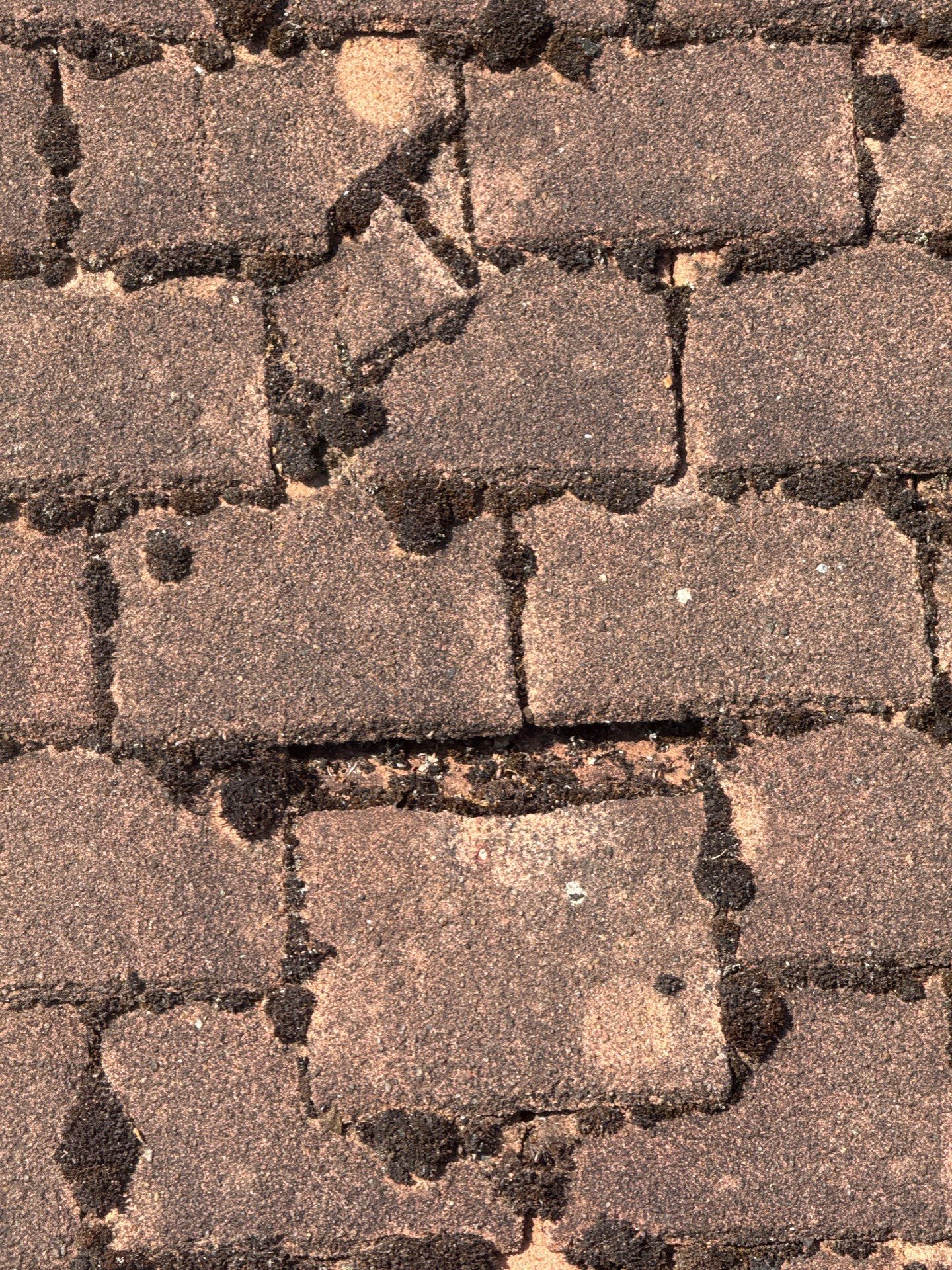 Roof Clean - Gutter Clean - Biocide Treatment by Ges Exterior Cleaning ltd