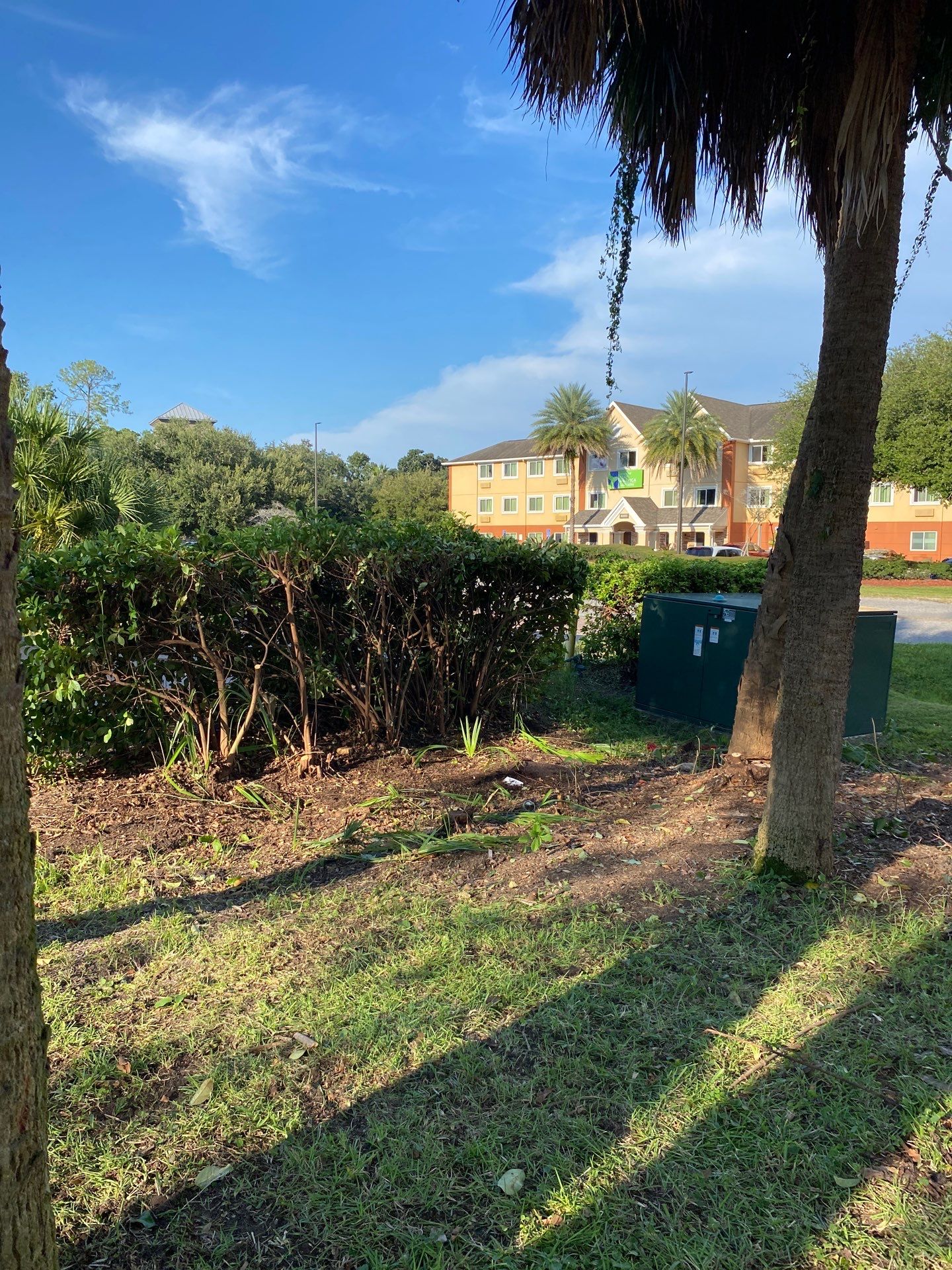 Tree & Shrub Removal | Marriott Hotel by ProGreen Services