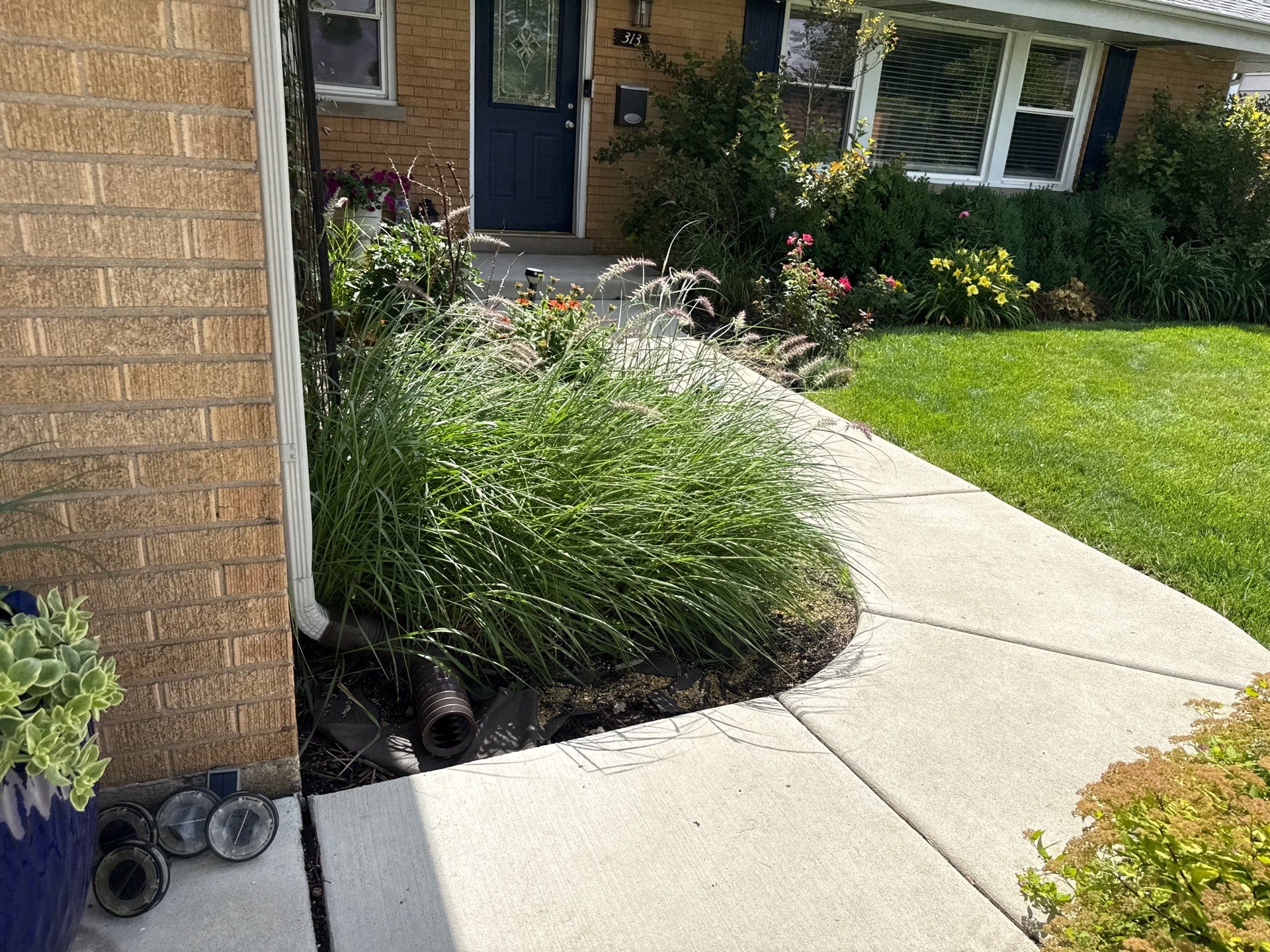 Cheris B. - Mount Prospect, IL by A&N 