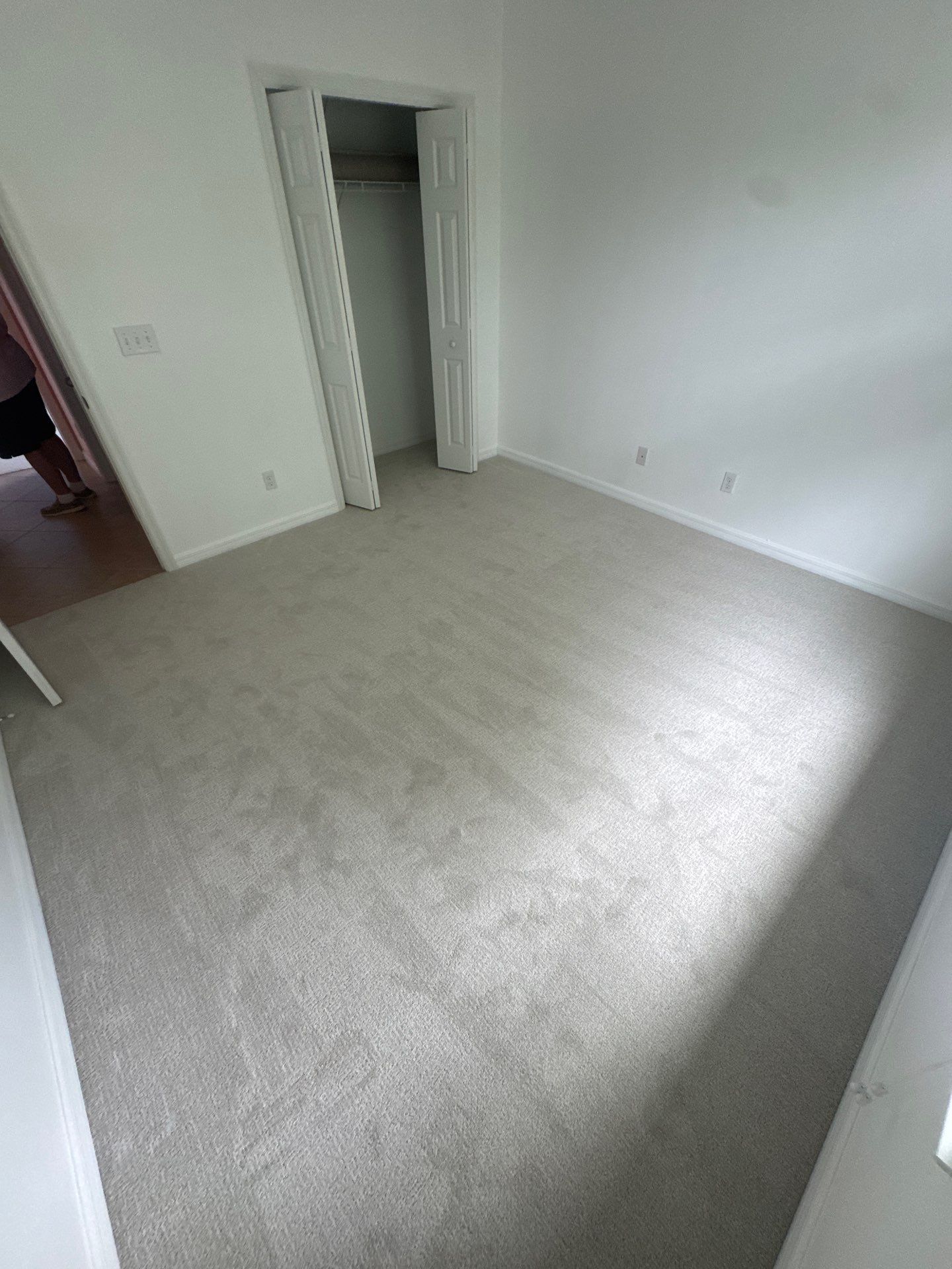 Carpet by Vrmmm Flooring
