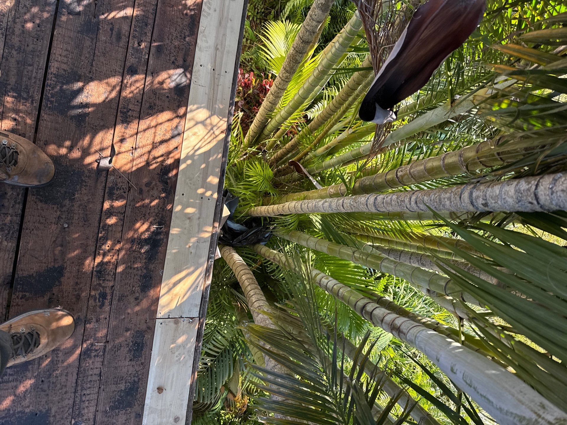 Project in St. Petersburg 33705 by Mitchell Roofing Company LLC 