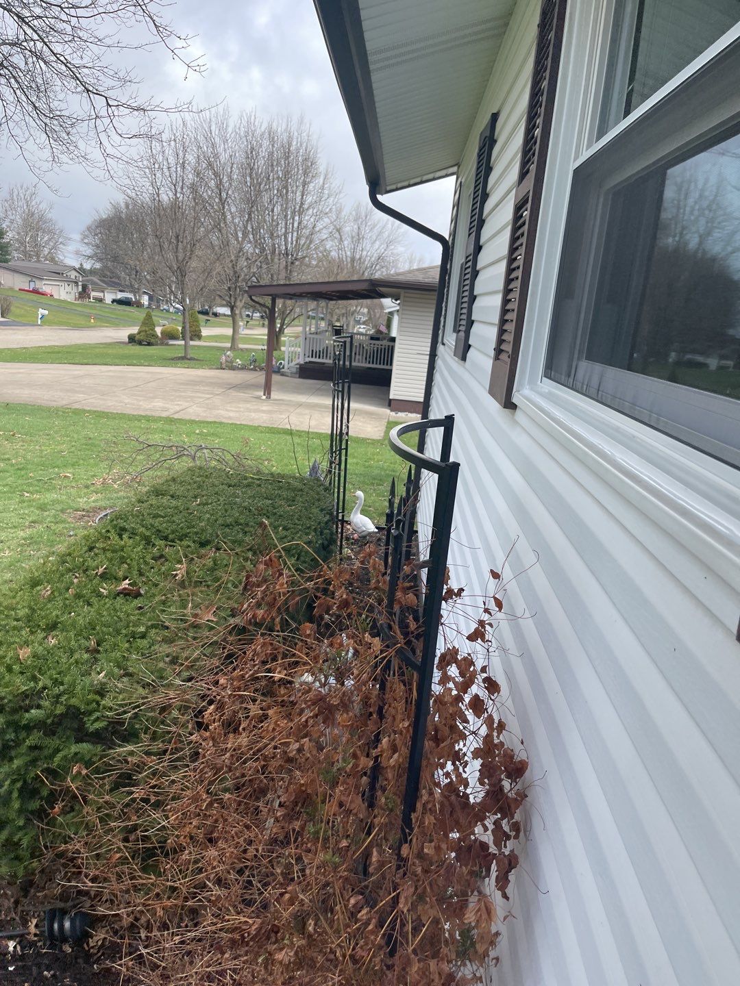 Patrica Coleman by Silver Leaf Contracting 