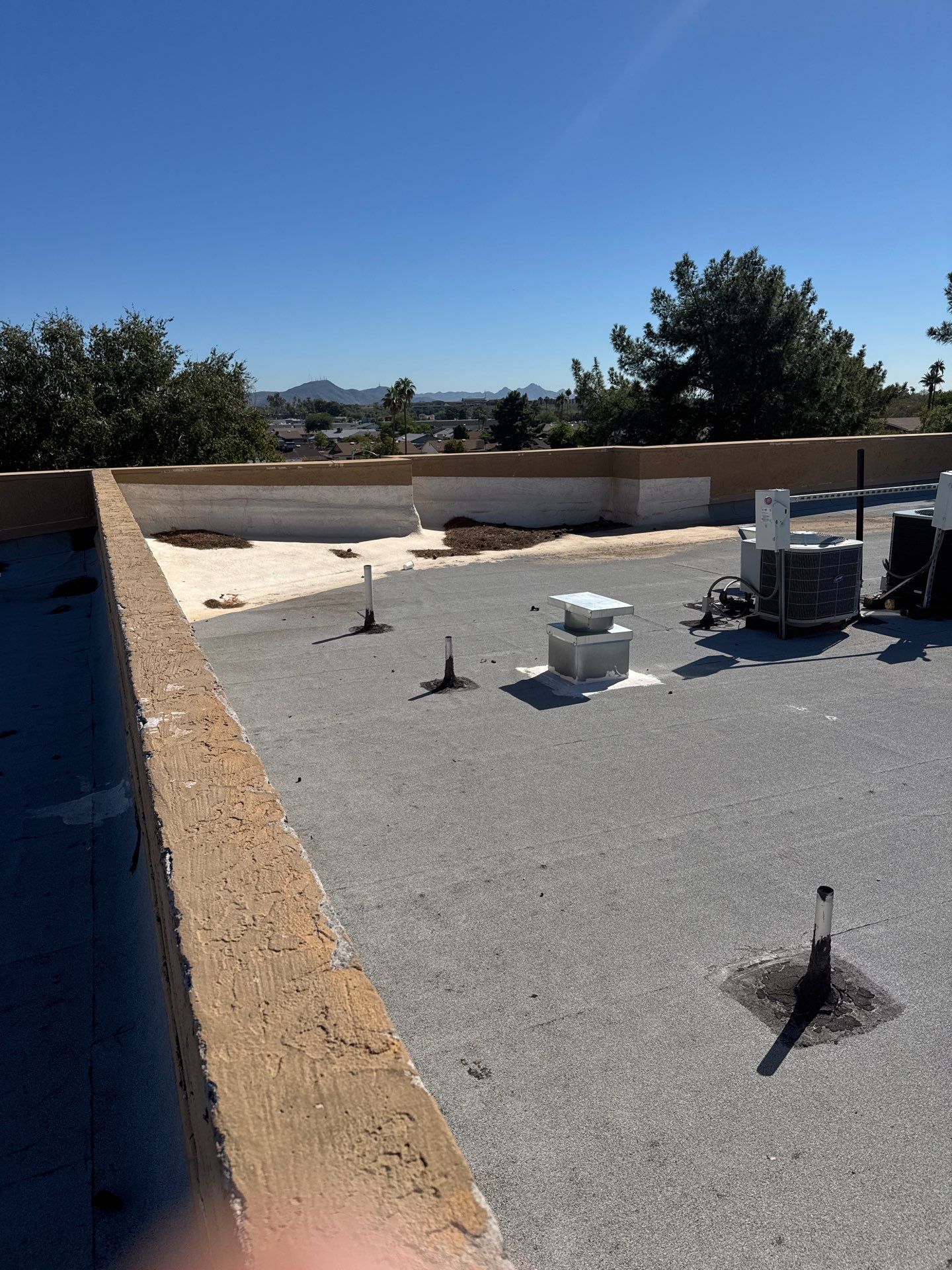 Project in Glendale by Crush Development Services LLC