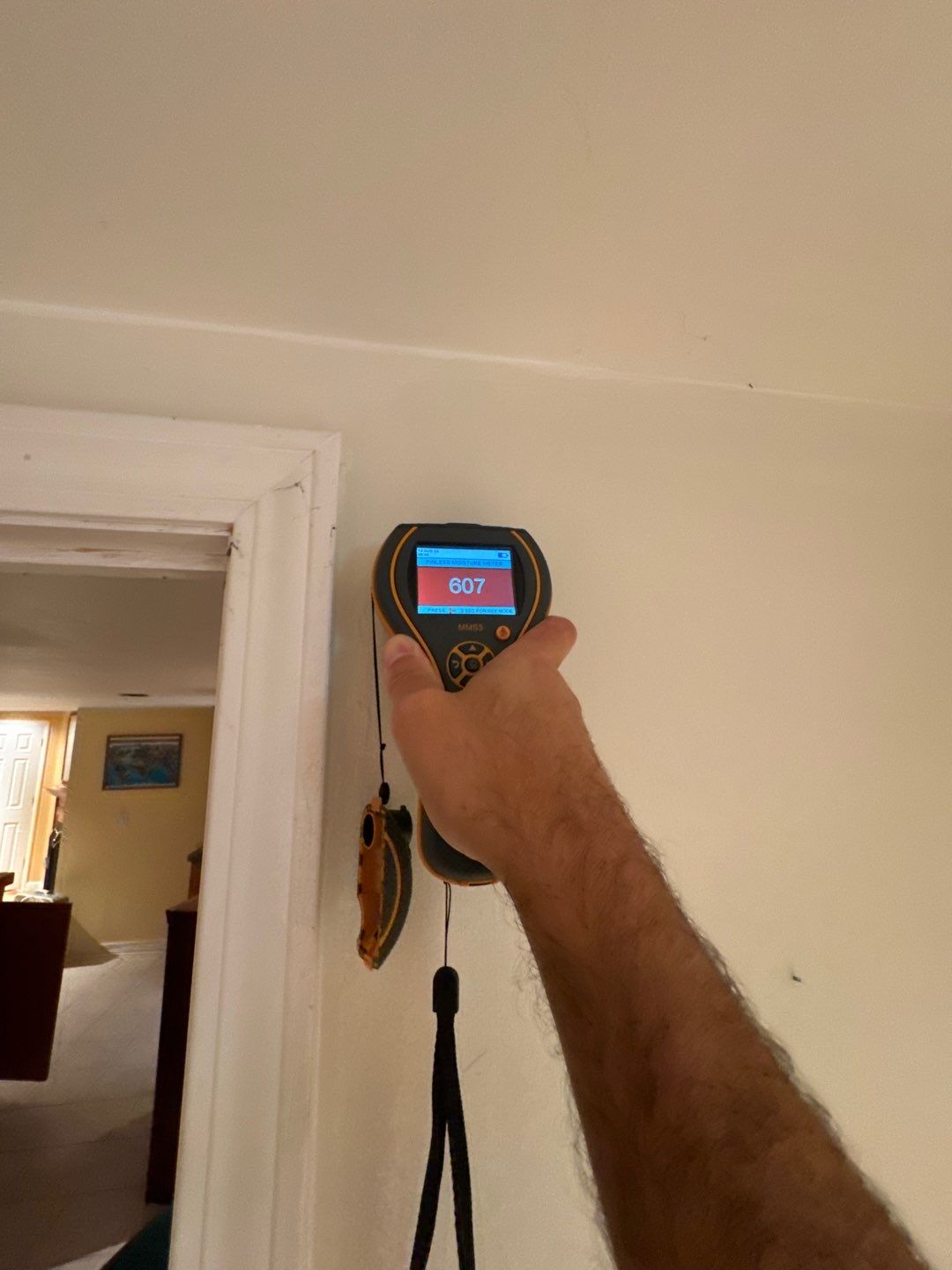 Project in Novi by EzDry Water Mitigation & Property Restoration