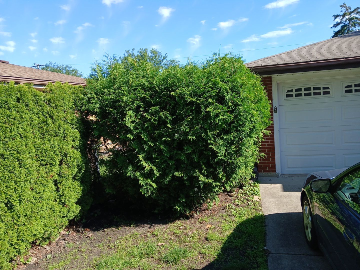 Martha C. - Mount Prospect, IL by A&N 