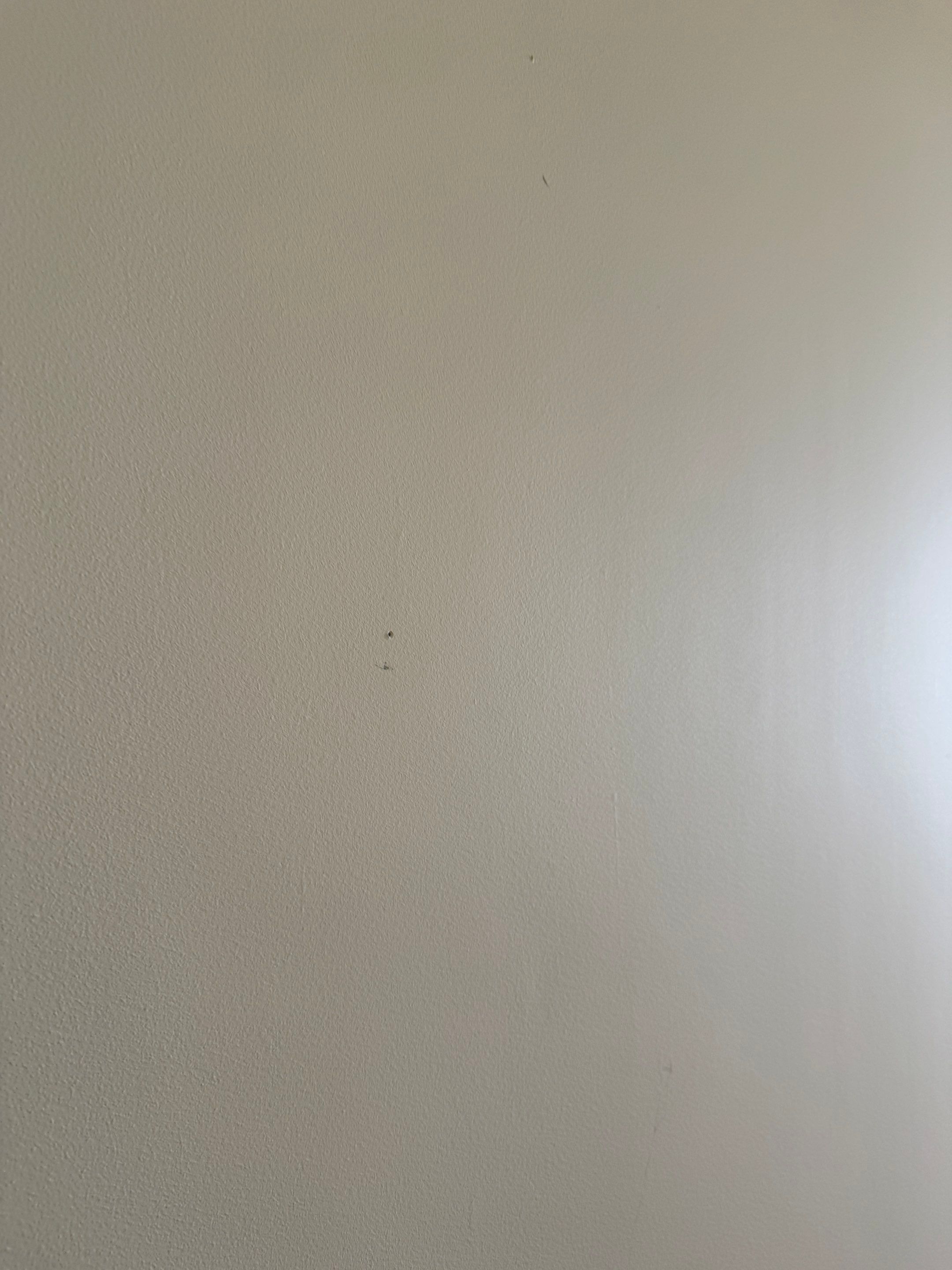 Touch up and painting project  by YVR Construction Group