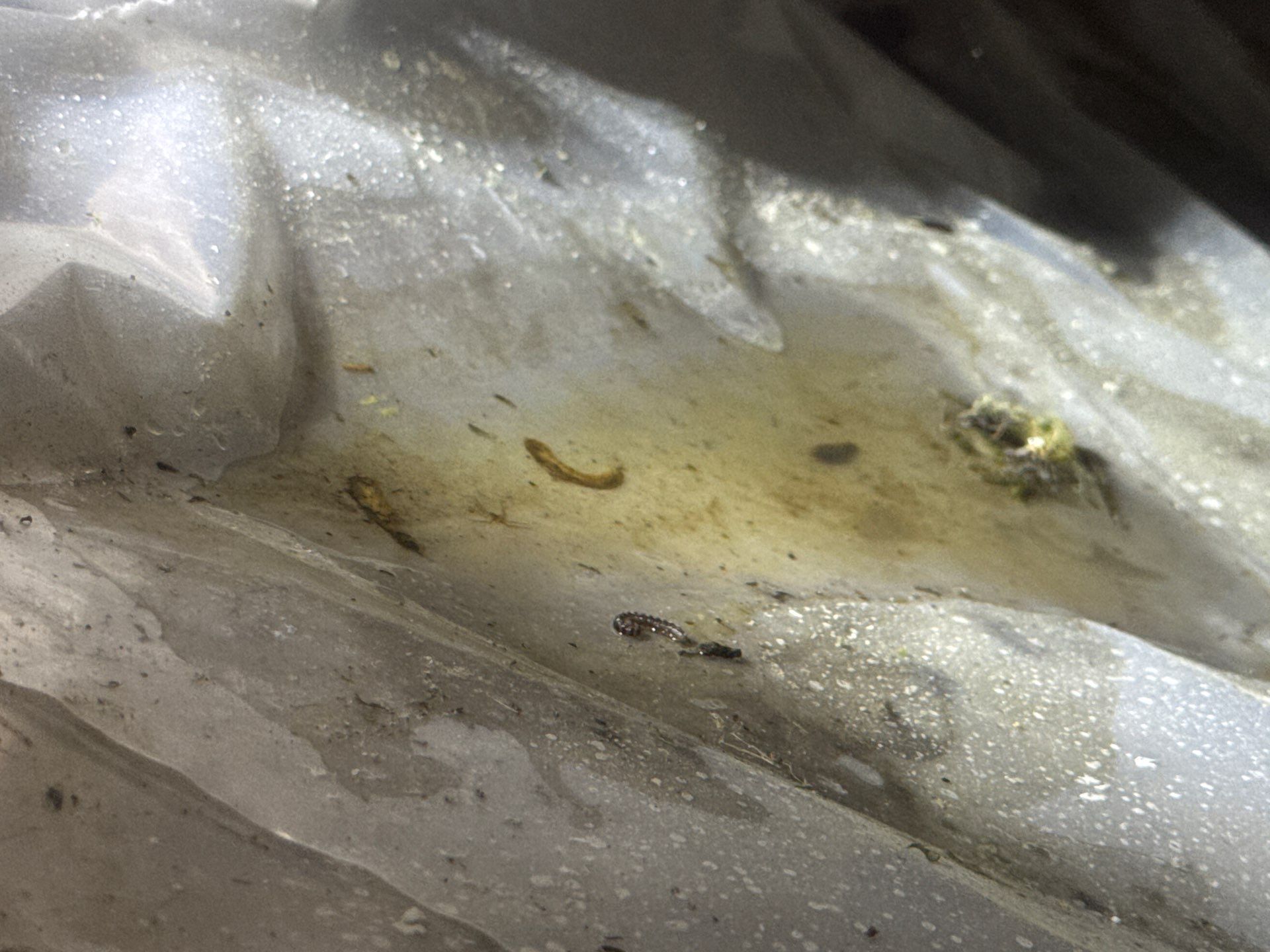 Project in Portsmouth by Patriot Crawl Space Repairs