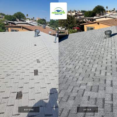 Silver Birch Shingles
