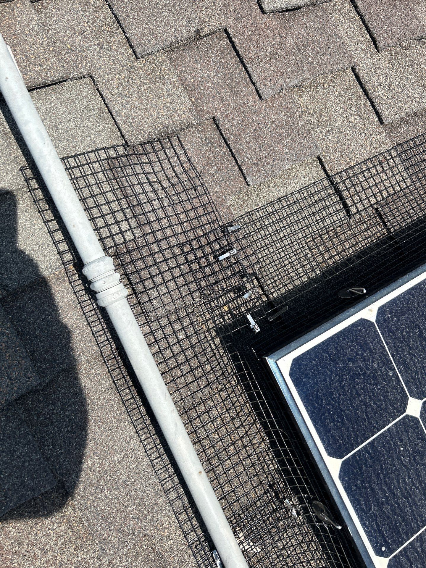 Solar Panel Critter Guard Installation by All One Solar Shine