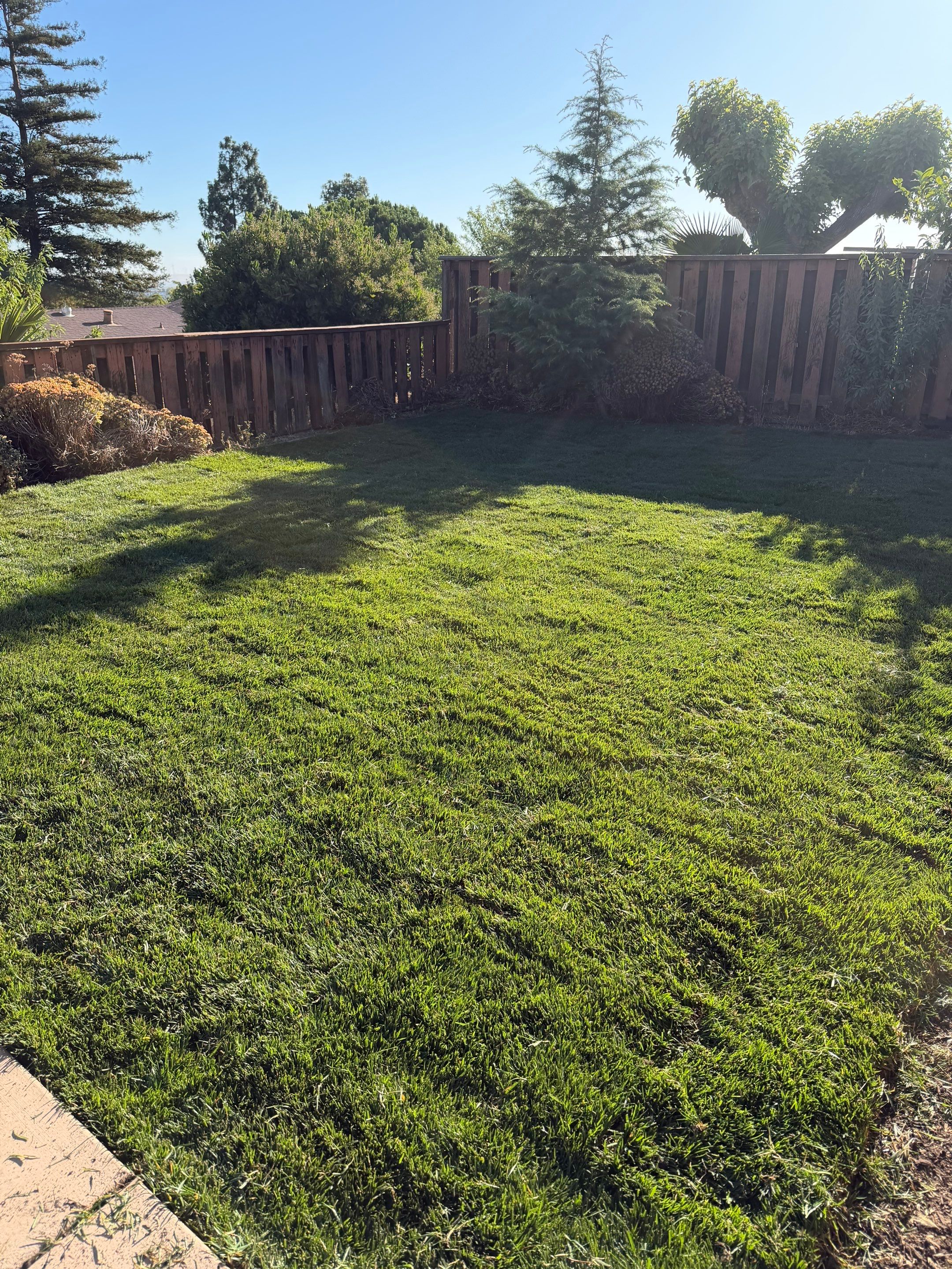 Project in Pittsburg by A - G Sod Farms