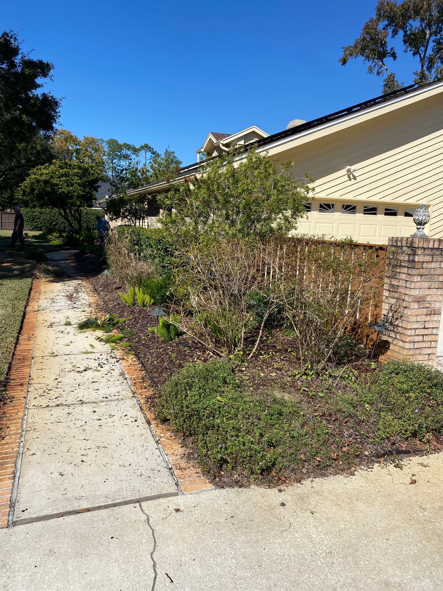 Deerwood Resident | Extreme Clean Up by ProGreen Services
