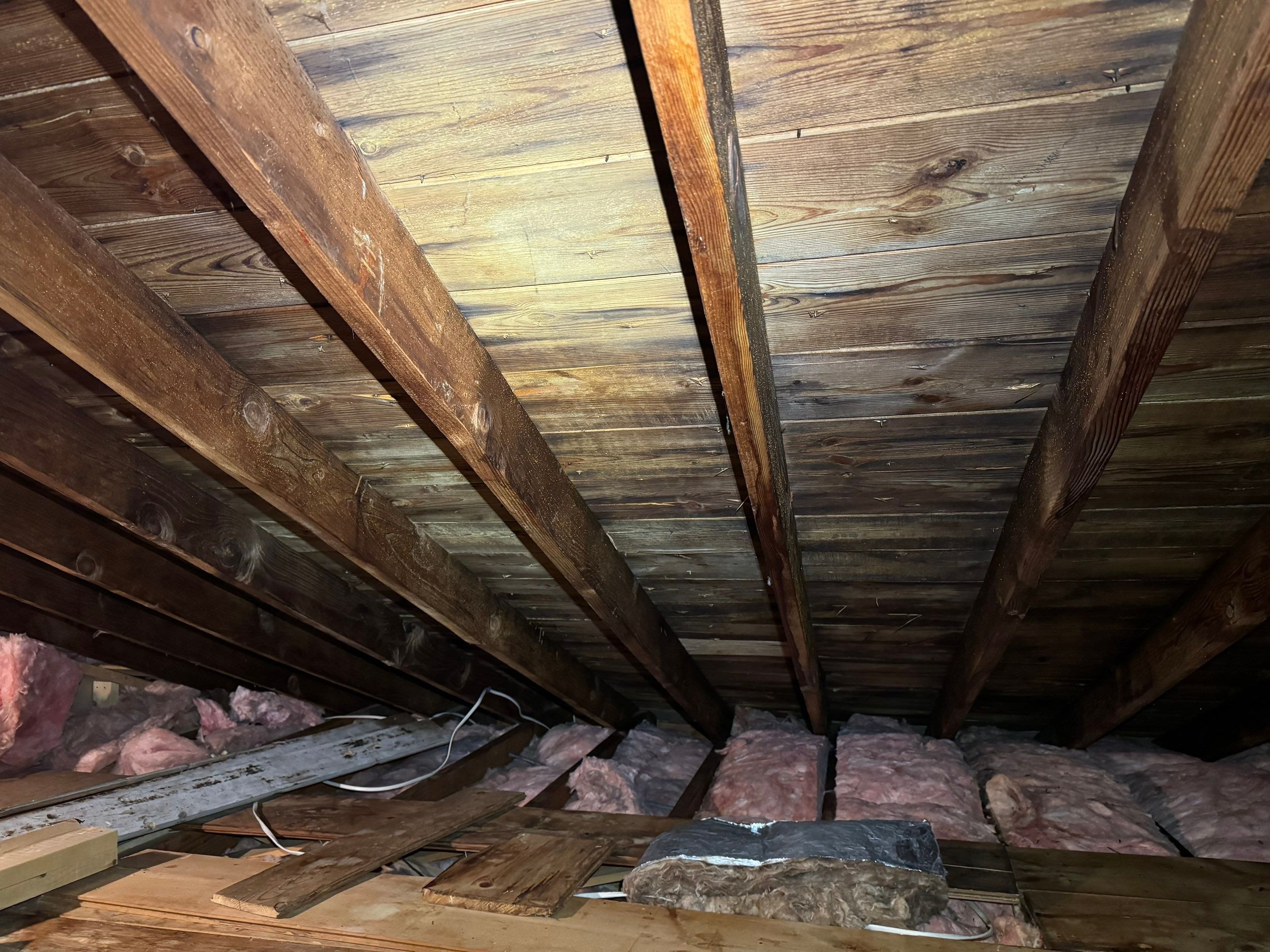 Attic & Sunroom Mold Remediation by Home Guarantee, LLC