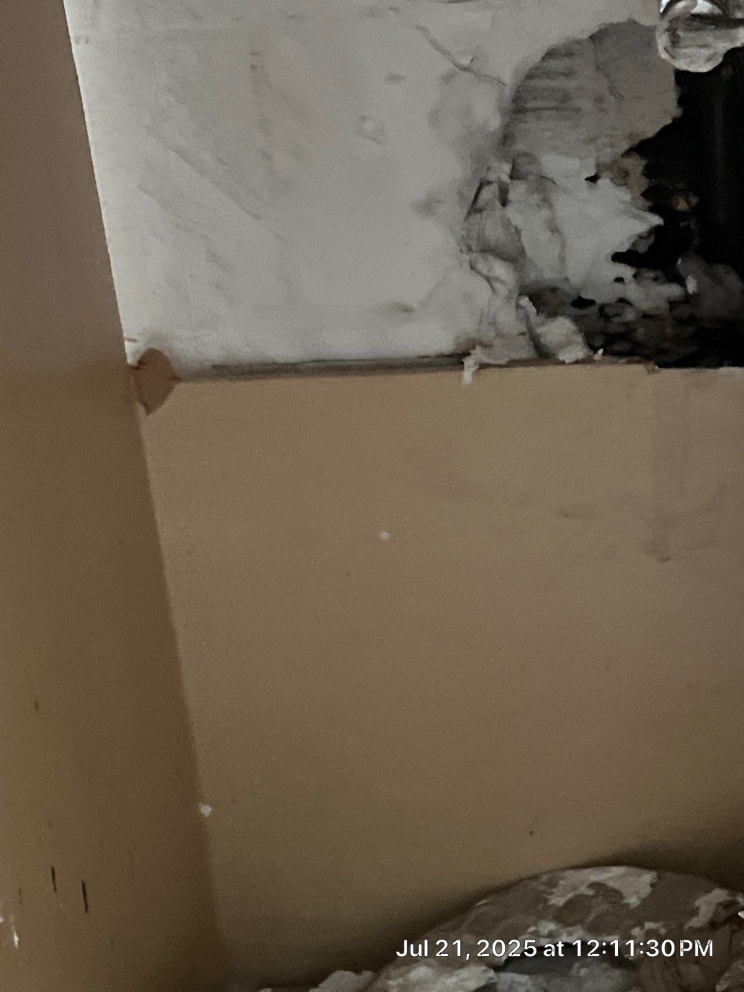 Mold Inspection & Removal by Ampm Restoration Services