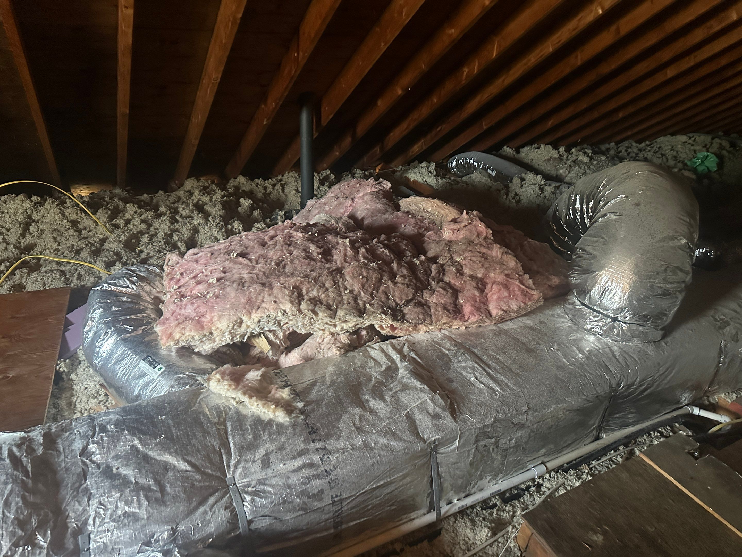 Attic Mold Remediation by Home Guarantee, LLC
