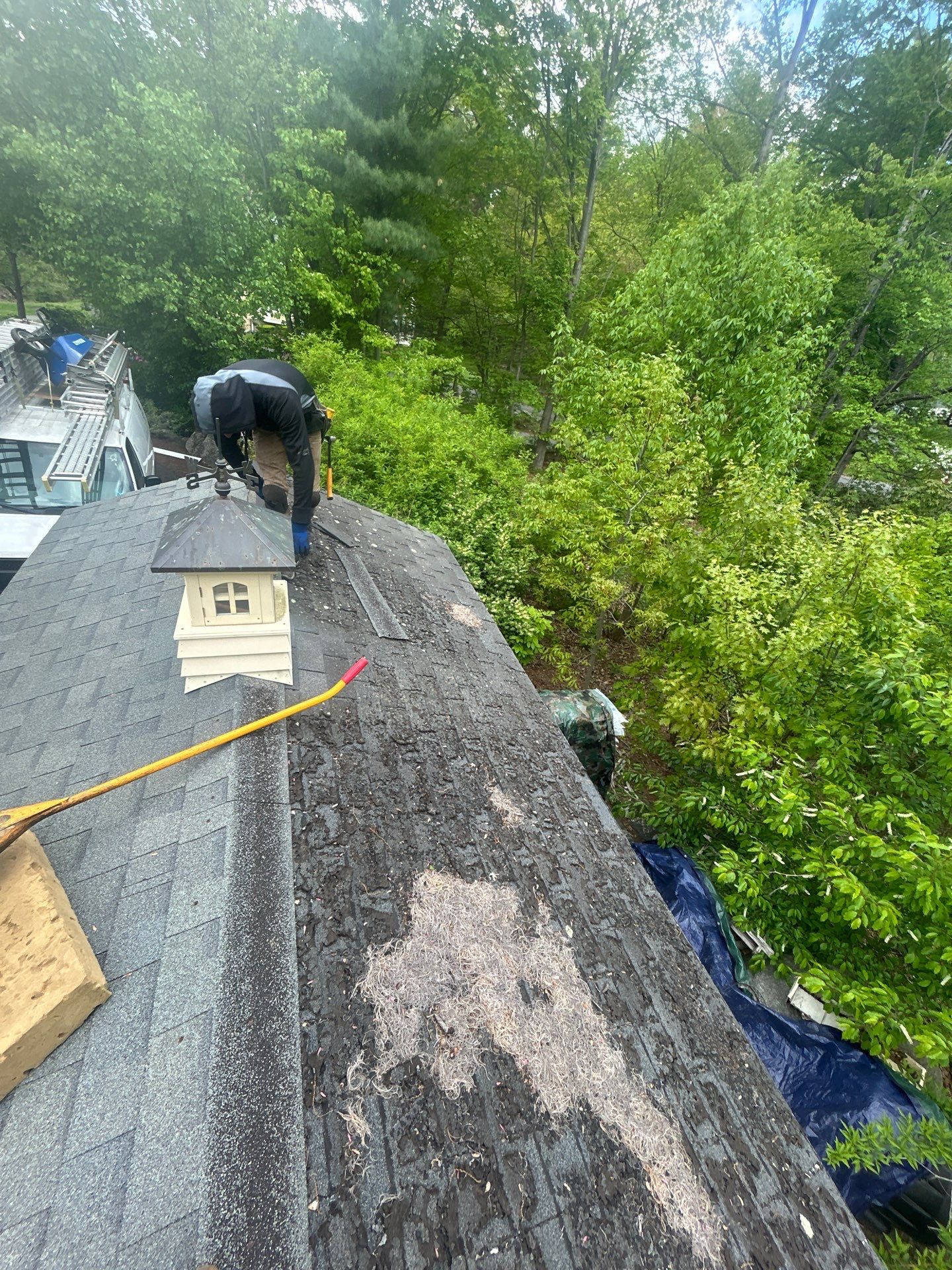 Roofing | Northborough by Mighty Dog Roofing of Greater Middlesex County