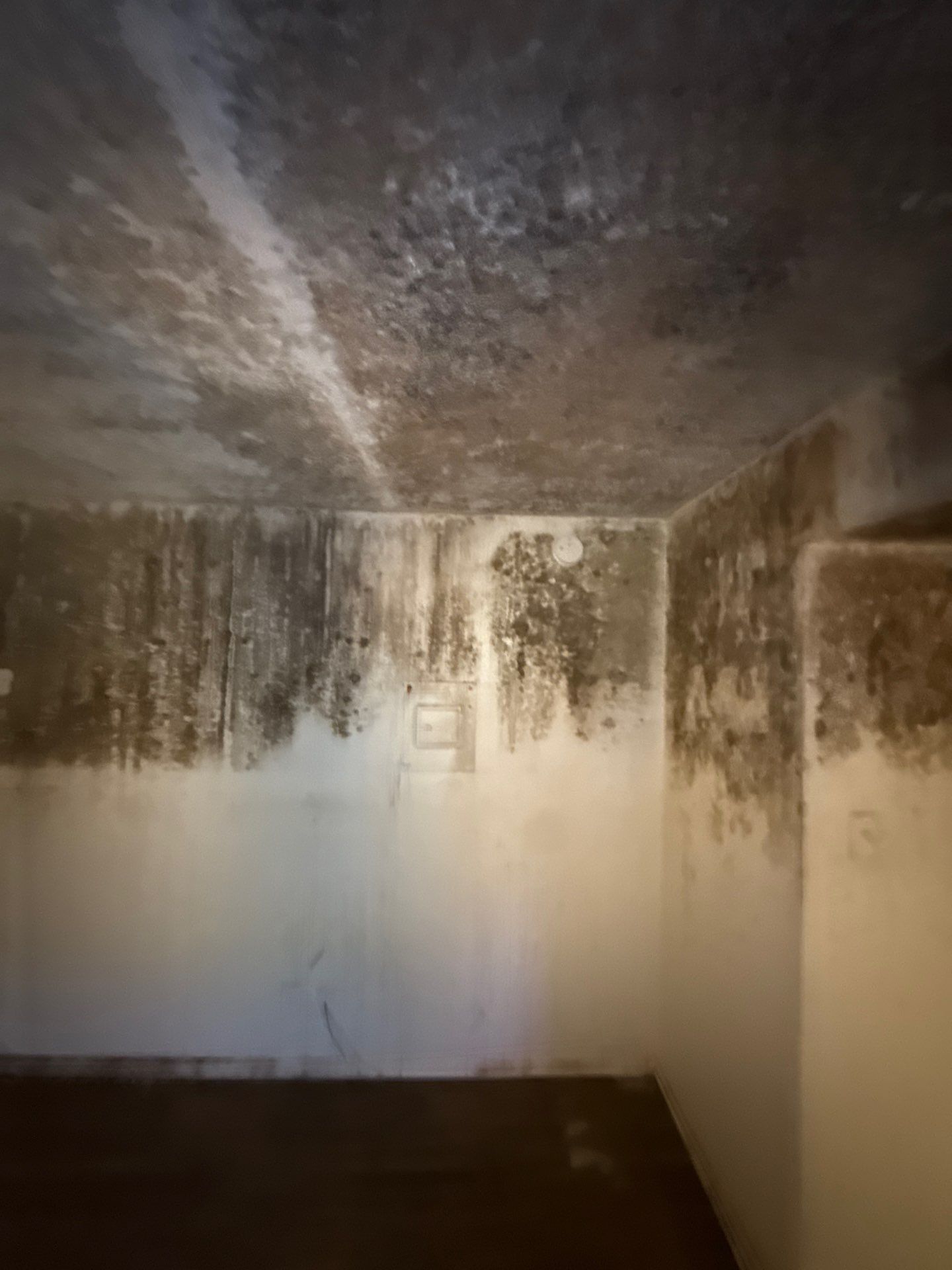 The Slate by Disaster Recovery Consultants