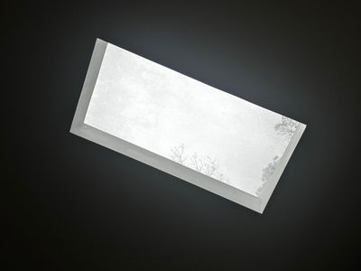 Bathroom Skylight Repair